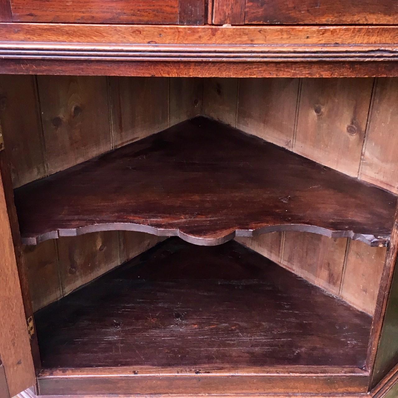 Oak Corner Cabinet, circa 1820 English (19. Jahrhundert)