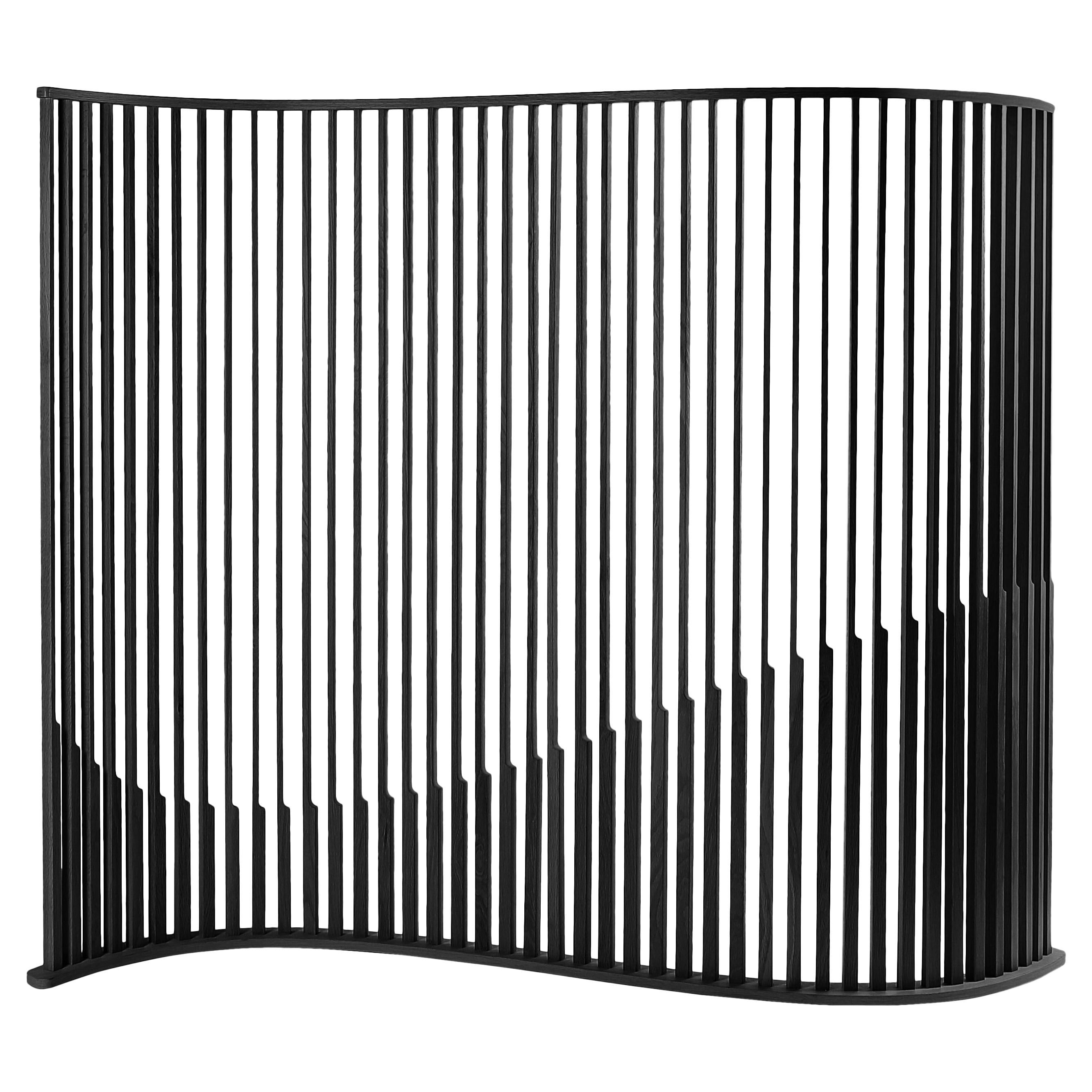 Laws of Motion Room Divider in Burn Wood, Space Divider Screen by Joel Escalona For Sale