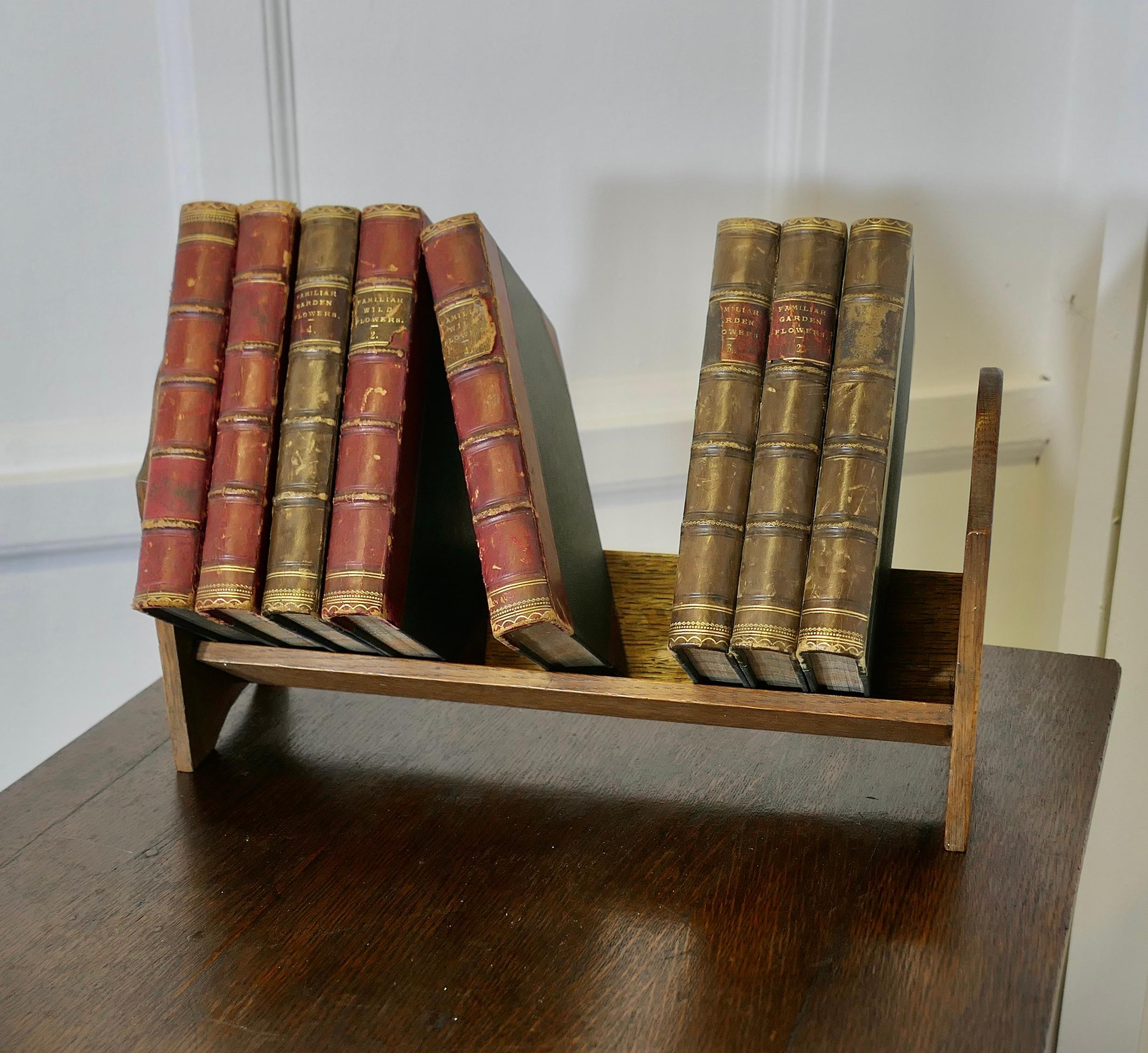 Quercia Vaschetta per libri da scrivania in Oak  Un utile pezzo realizzato in Oak e ideale per contenere i libri. in vendita