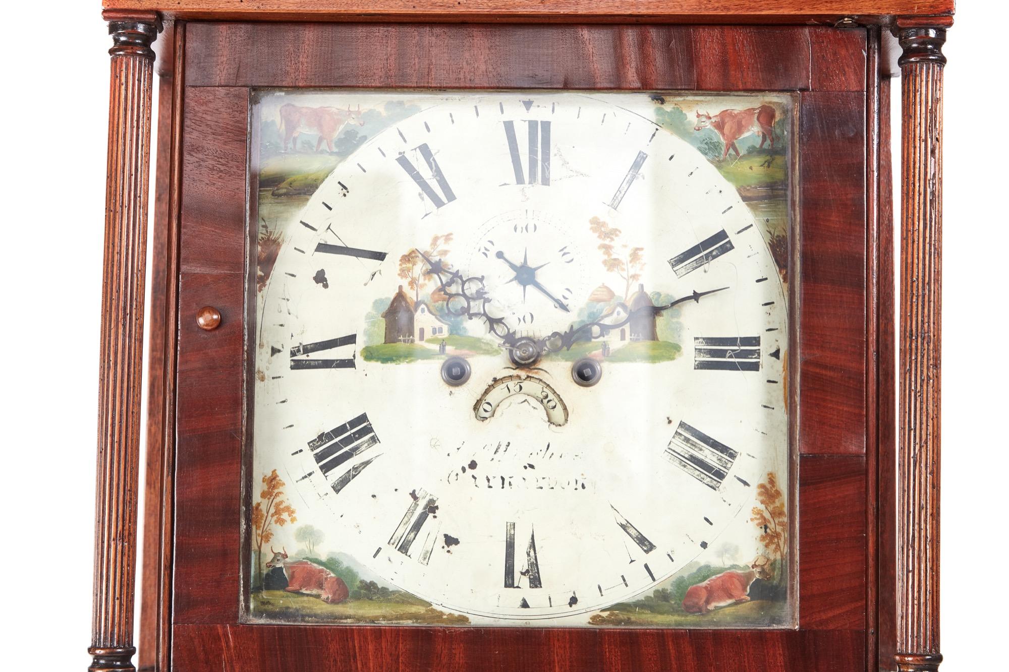 Antique oak eight day longcase clock with a swan-neck pediment, pretty hand painted face depicting cows and cottages and a delightful oak case crossbanded in mahogany. Attractive reeded columns flank both the hood and the shaped plinth base. It has