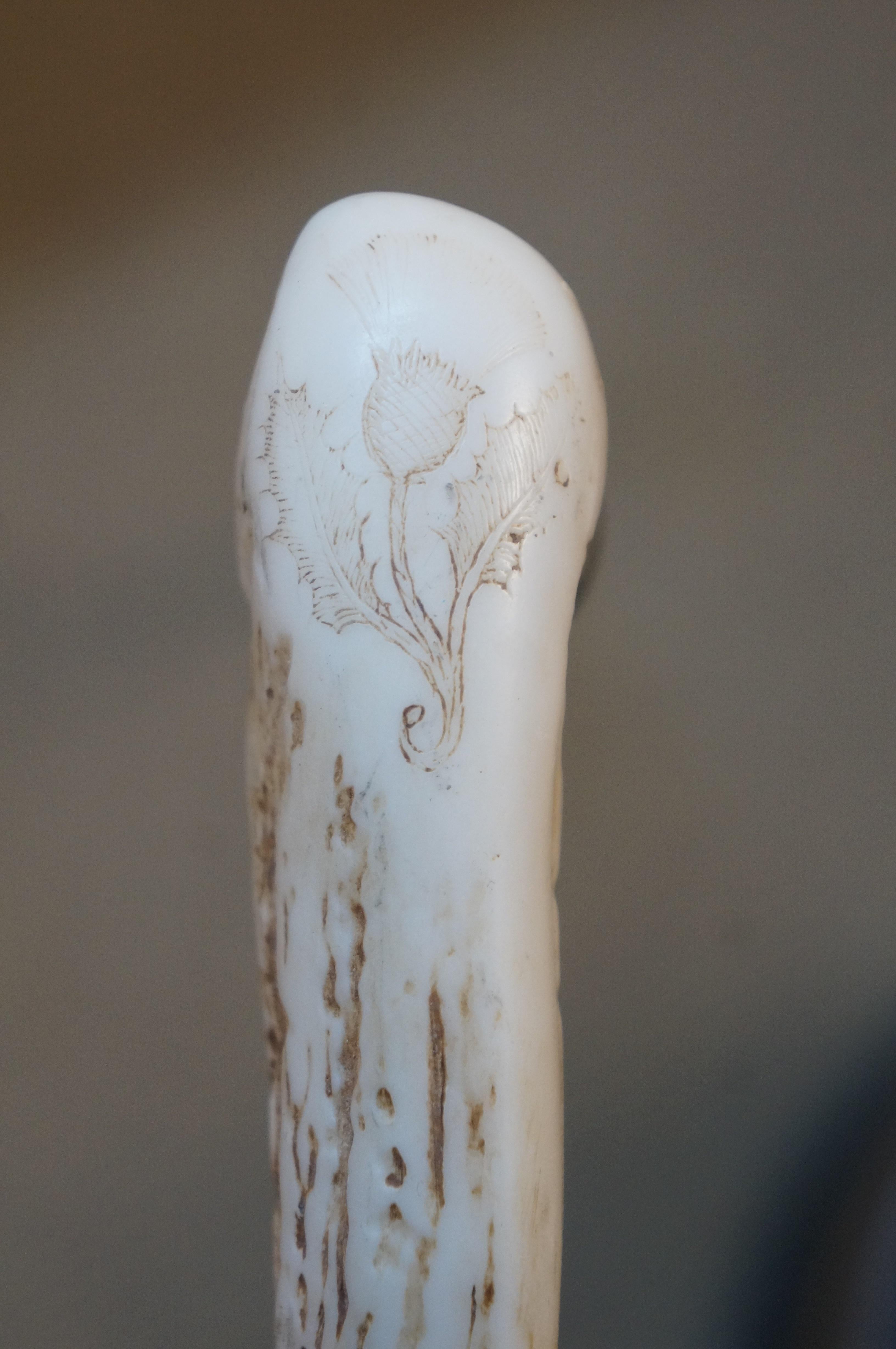 Chêne Elk Horn Antler Handle Walking Stick Cane Scottish Thistle 36