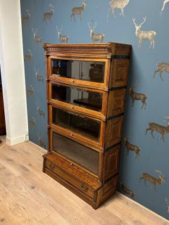 Oak Globe Wernicke Bookcase