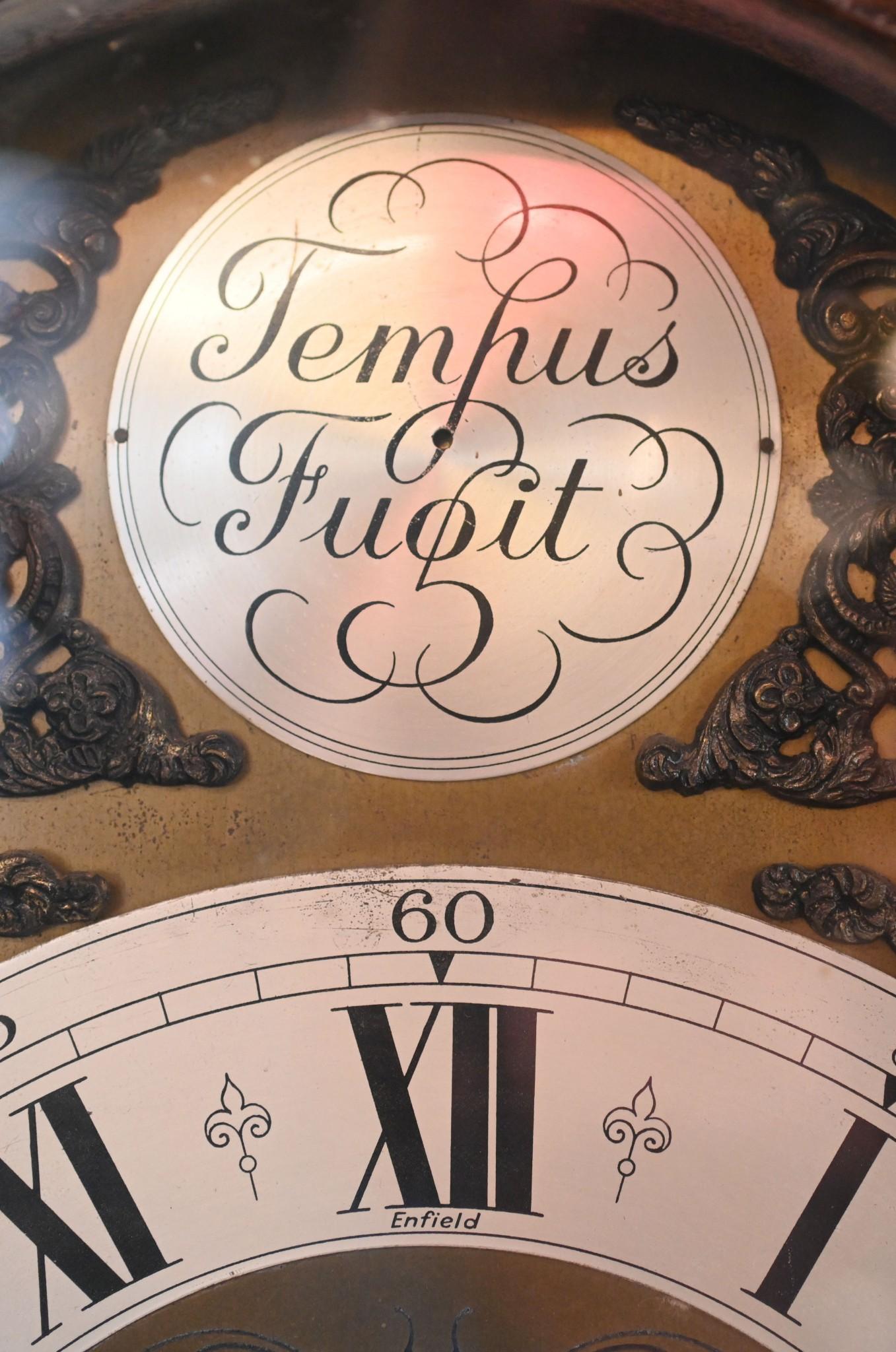 Late 19th Century Oak Grandmother Clock Tempus Fugit Longcase Victorian For Sale