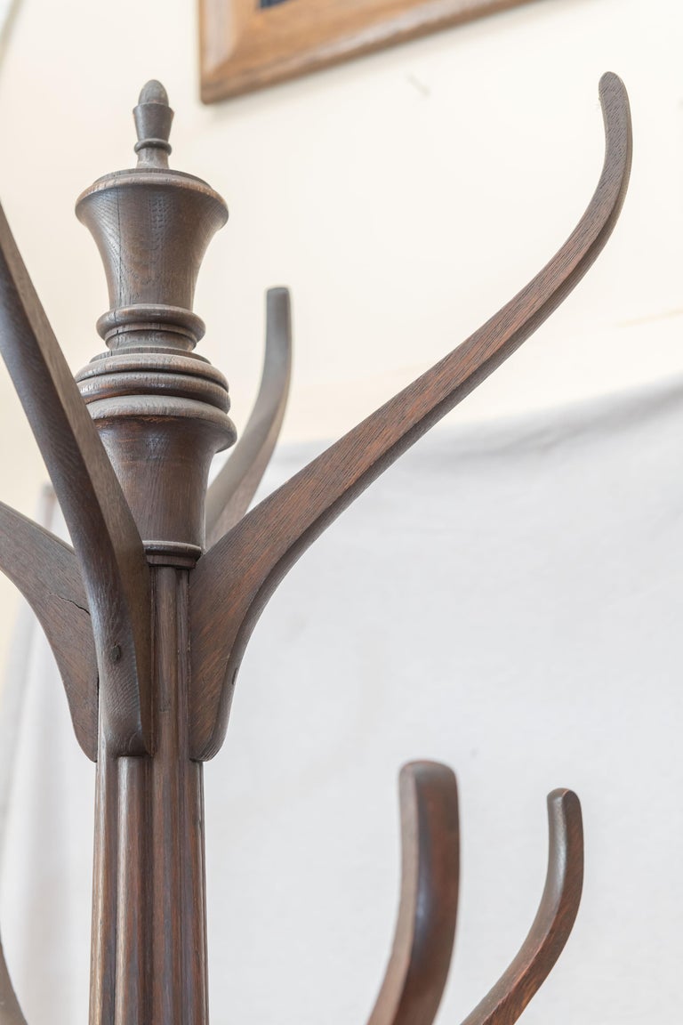 Oak Hat Rack/ Coat Rack from a Men's Club in Ohio, circa 1900 at 1stDibs