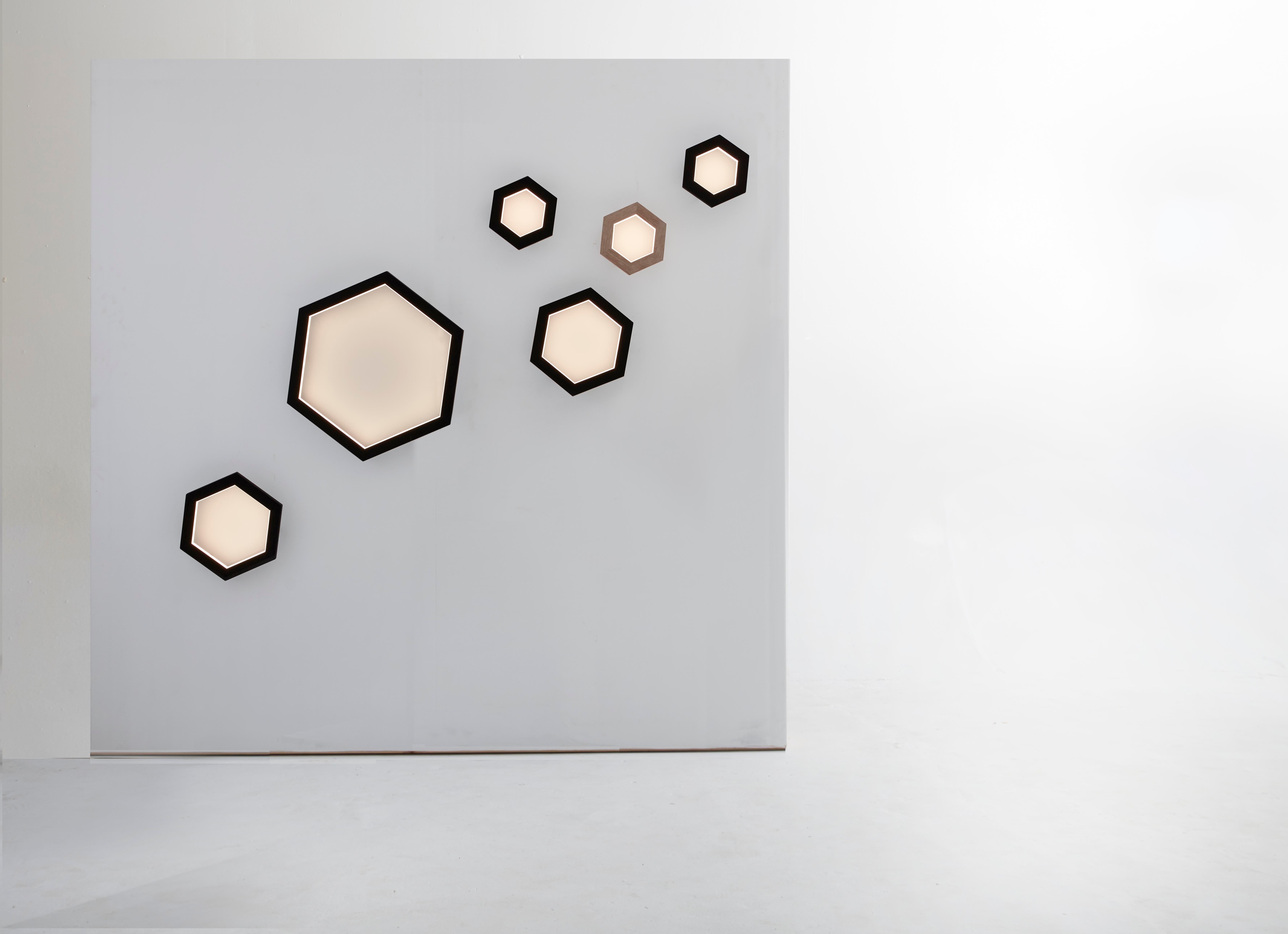 Oak Large Hexagon Sconce, Pendant by Hollis & Morris For Sale 3