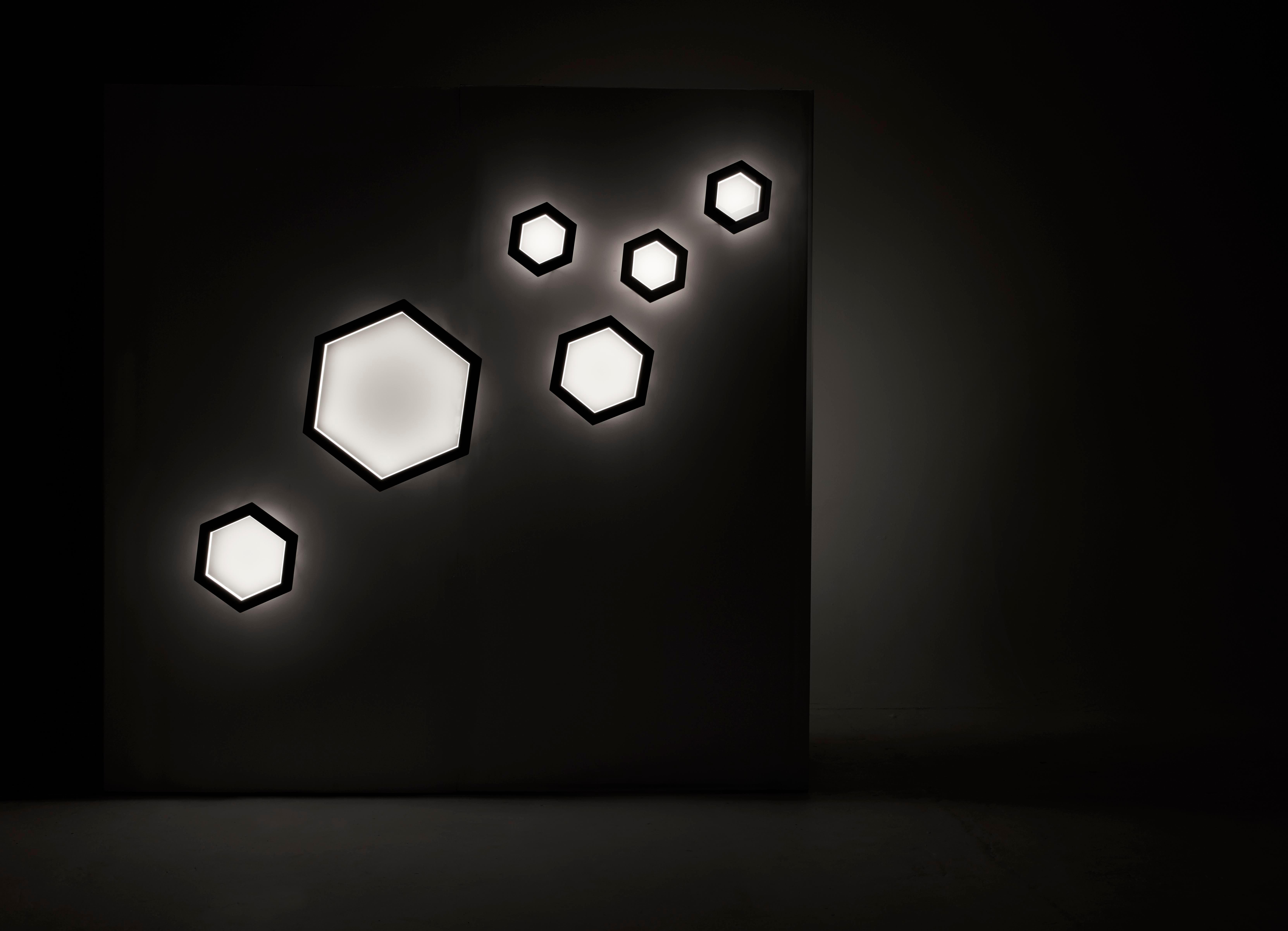 Lámpara Hexágono Grande de Roble, Colgante by Hollis & Morris en venta 2