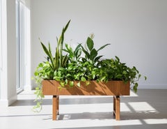 Oak Planter with Zinc Liner, Denmark, 1960s