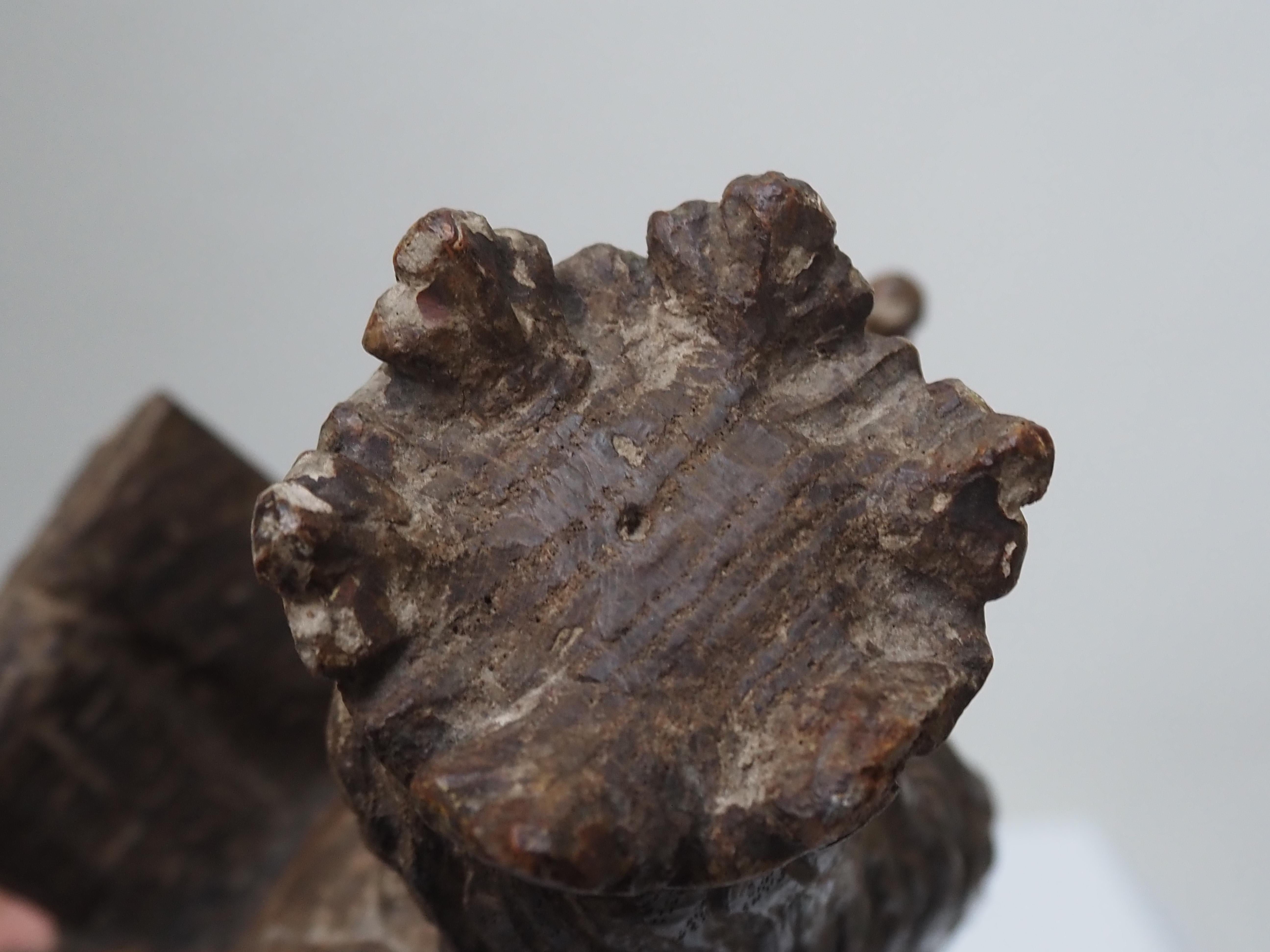 Scultura in Oak raffigurante Santa Caterina d'Alessandria, inizio XVII secolo in vendita 14