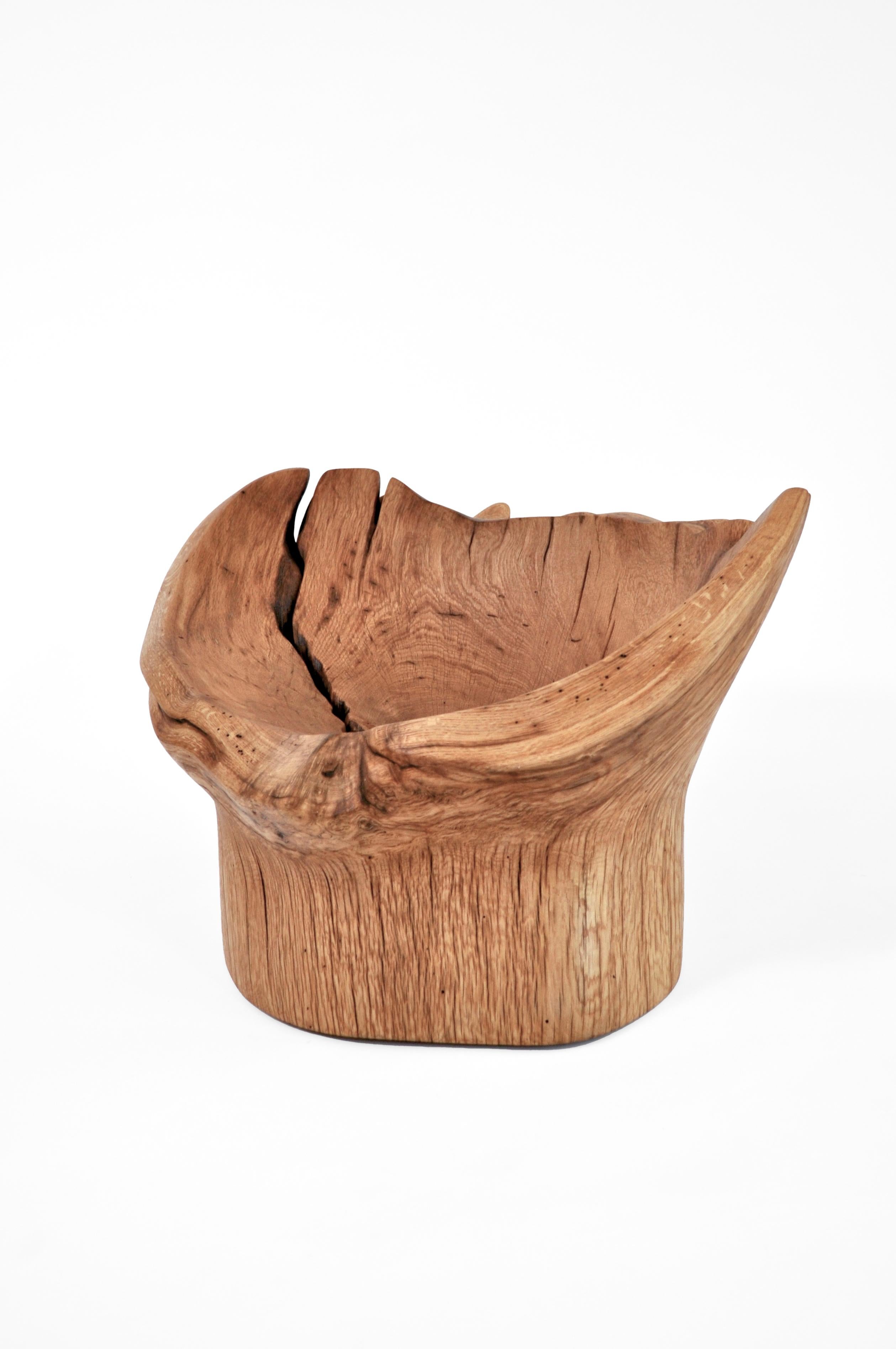 Stool 1244 by Jörg Pietschmann
Dimensions: D 50 x W 60 x H 33 cm 
Materials: oak.
Finish: polished oil finish.


Carved from an oak tree trunk fallen by a windbreak.
In Pietschmann’s sculptures, trees that for centuries were part of a landscape and