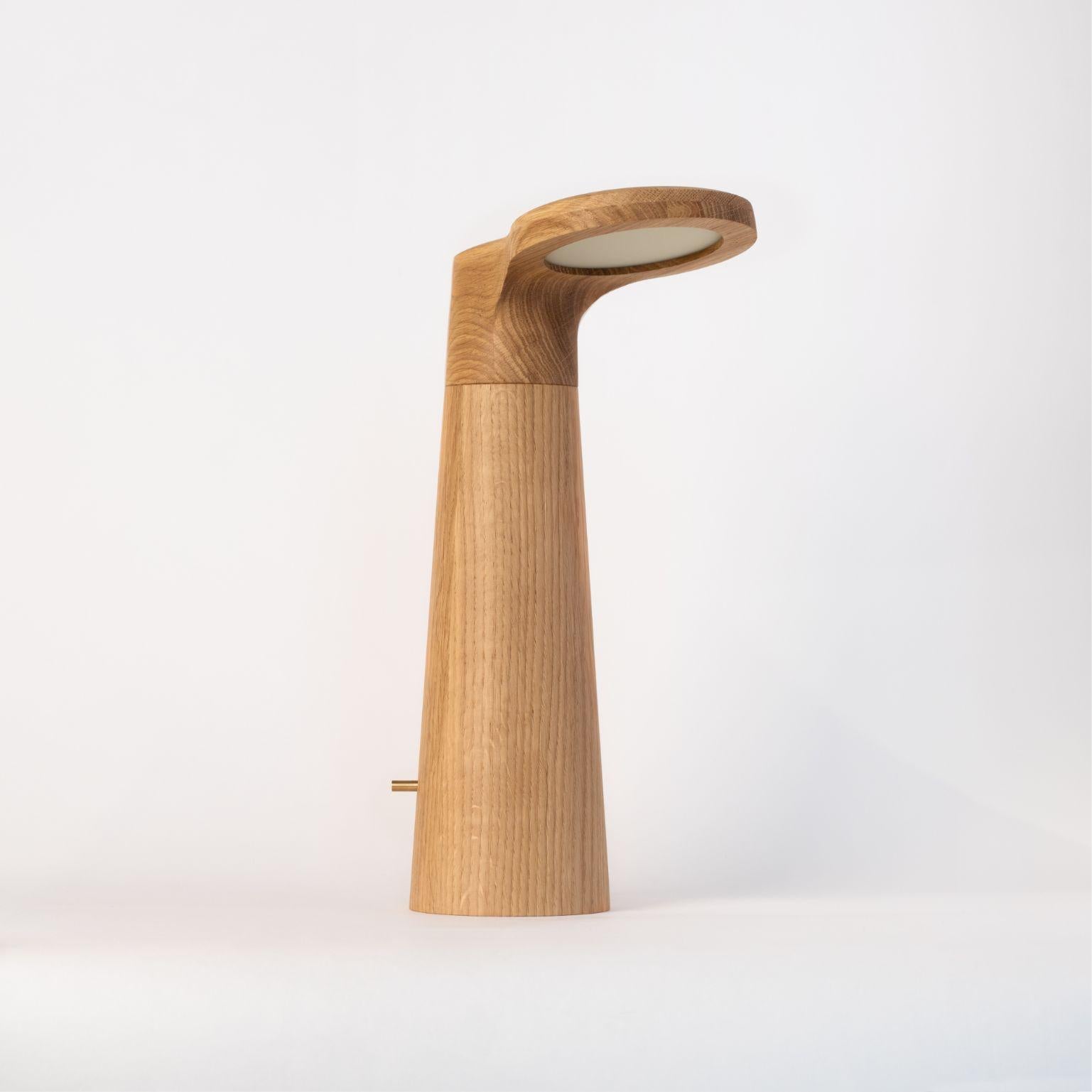 Oak - Studio light by Isato Prugger
Dimensions: 37 x 22 x 13 cm
Materials: oak
Limited edition of 100

Also available in Wenge Wood, Olive Wood, Canaletto Walnut, Padouk, White Ash. All our lamps can be wired according to each country. If sold