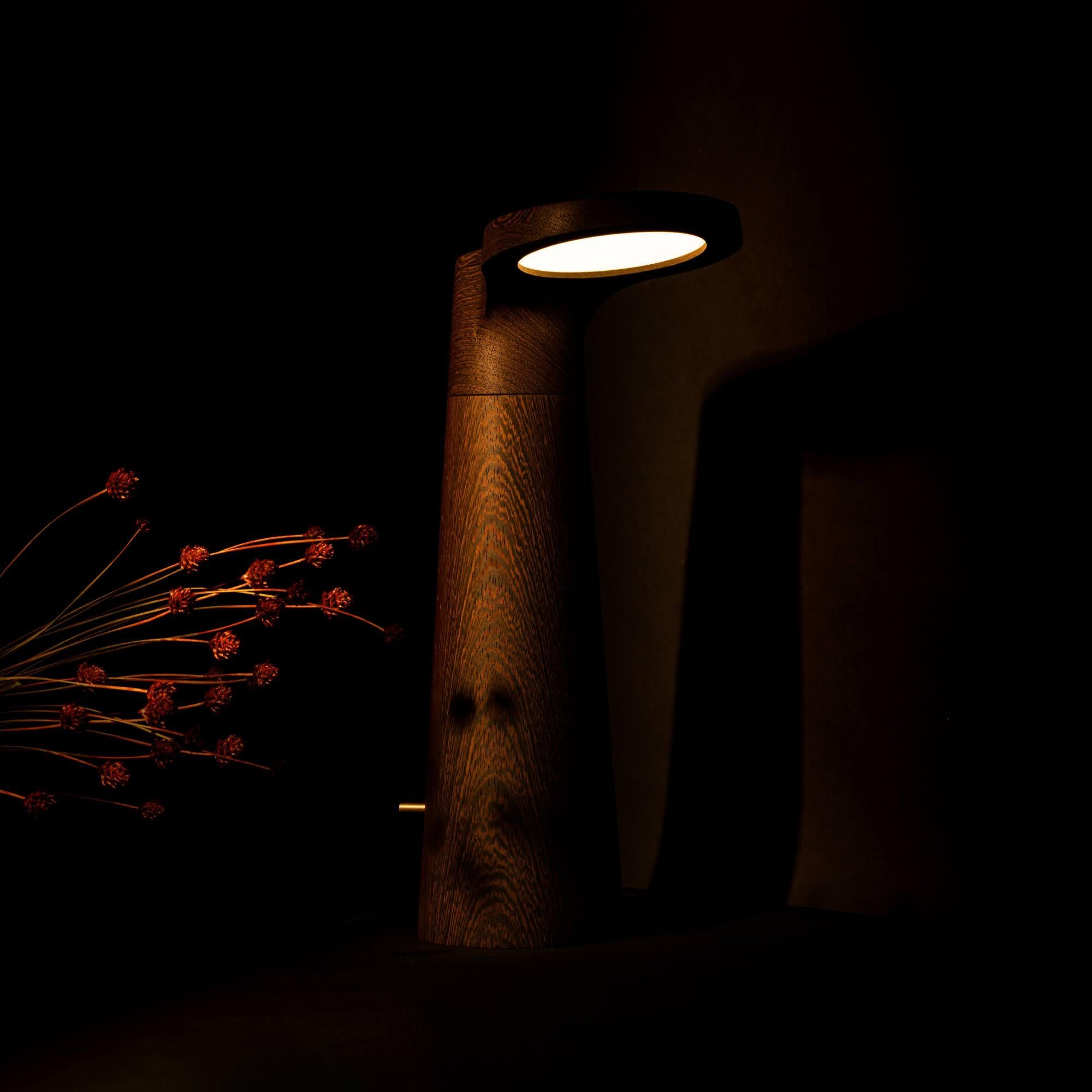 Chêne Lampe en chêne, Studio Light d'Isato Prugger en vente