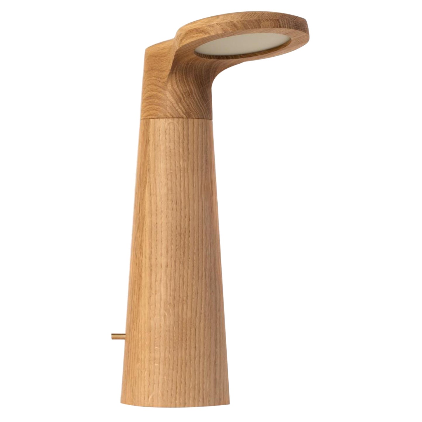 Oak, Studio Light par Isato Prugger