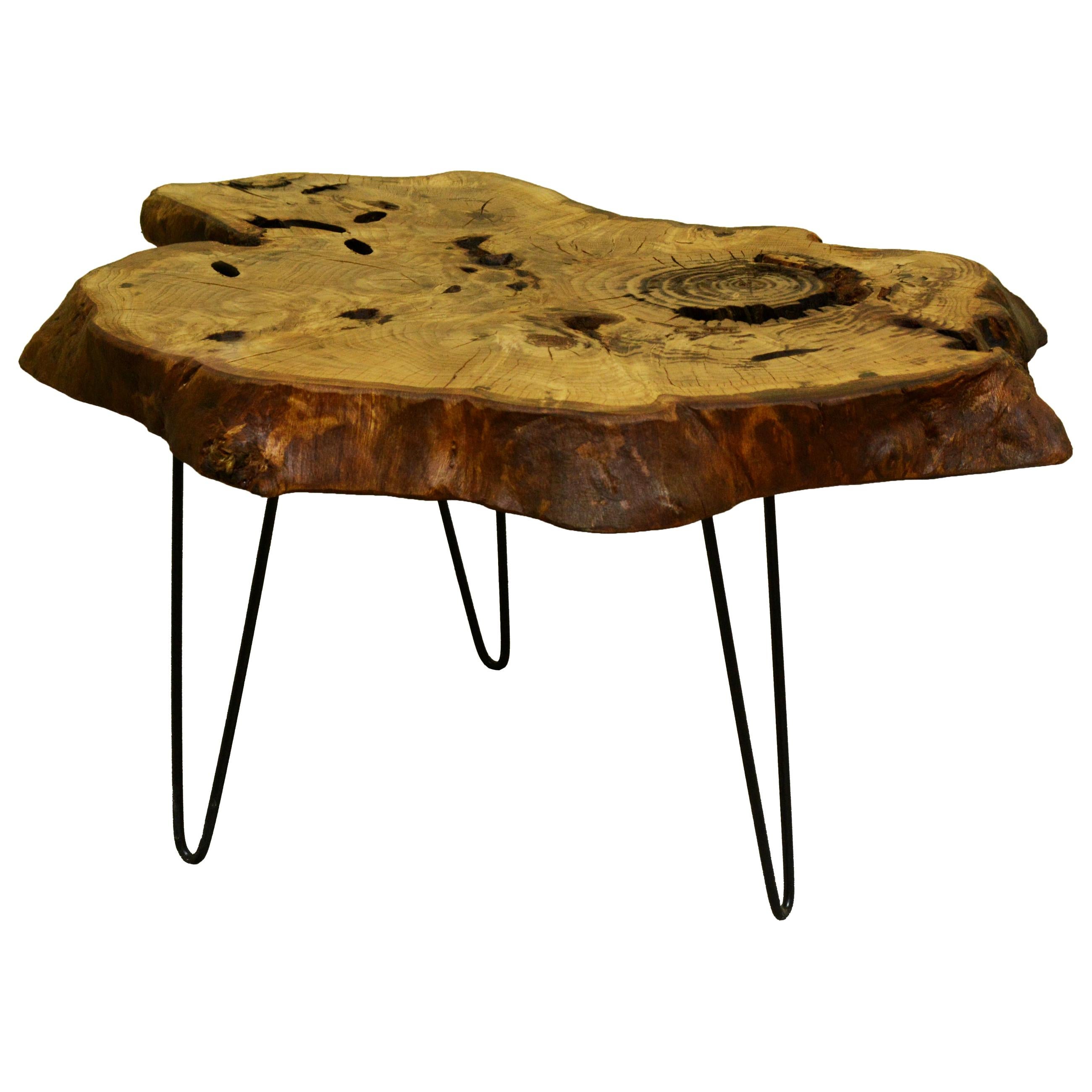 Oak Tree Live Edge Coffee Table with Hairpin Legs / LECT155 For Sale