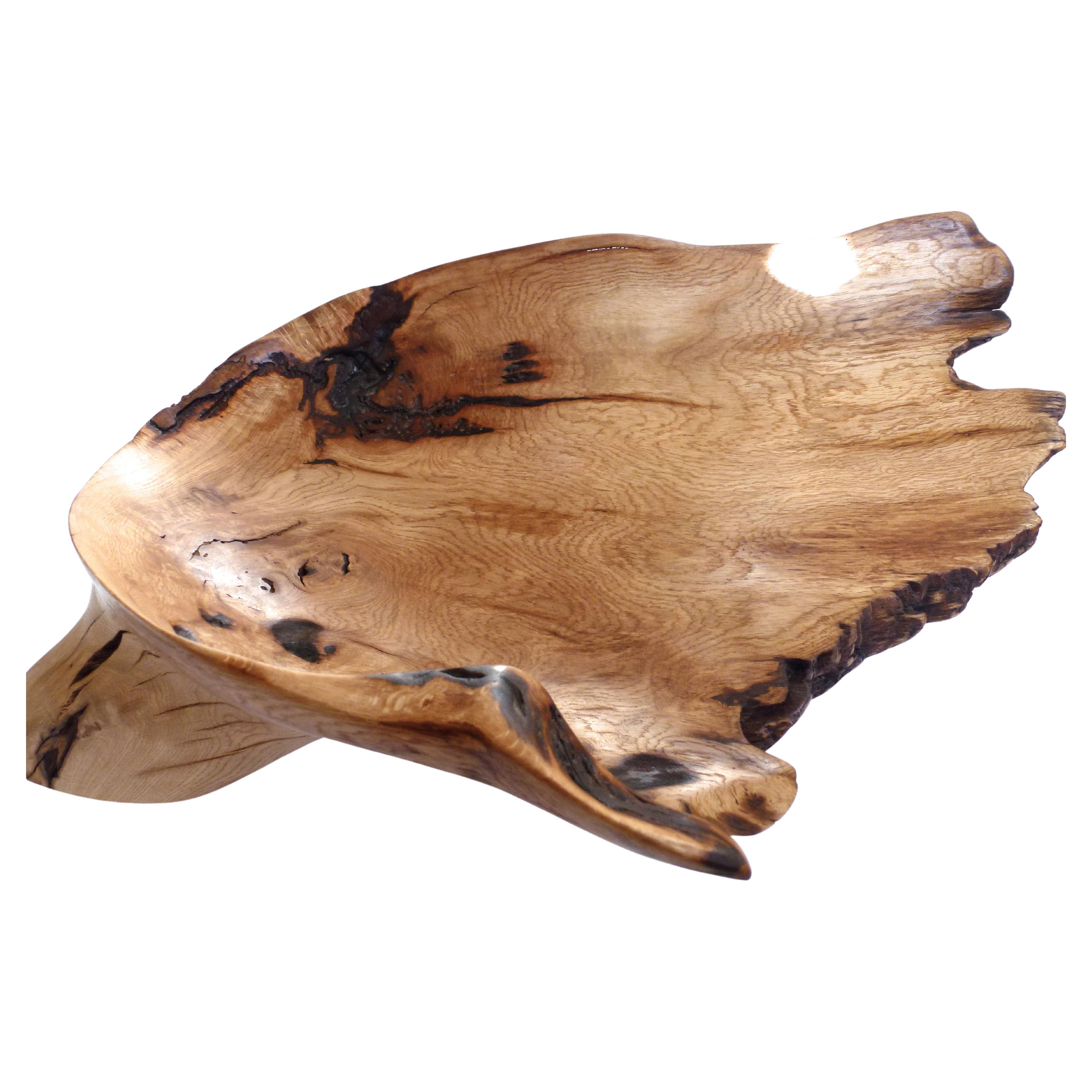 Oak Vessel 1073 by Jörg Pietschmann