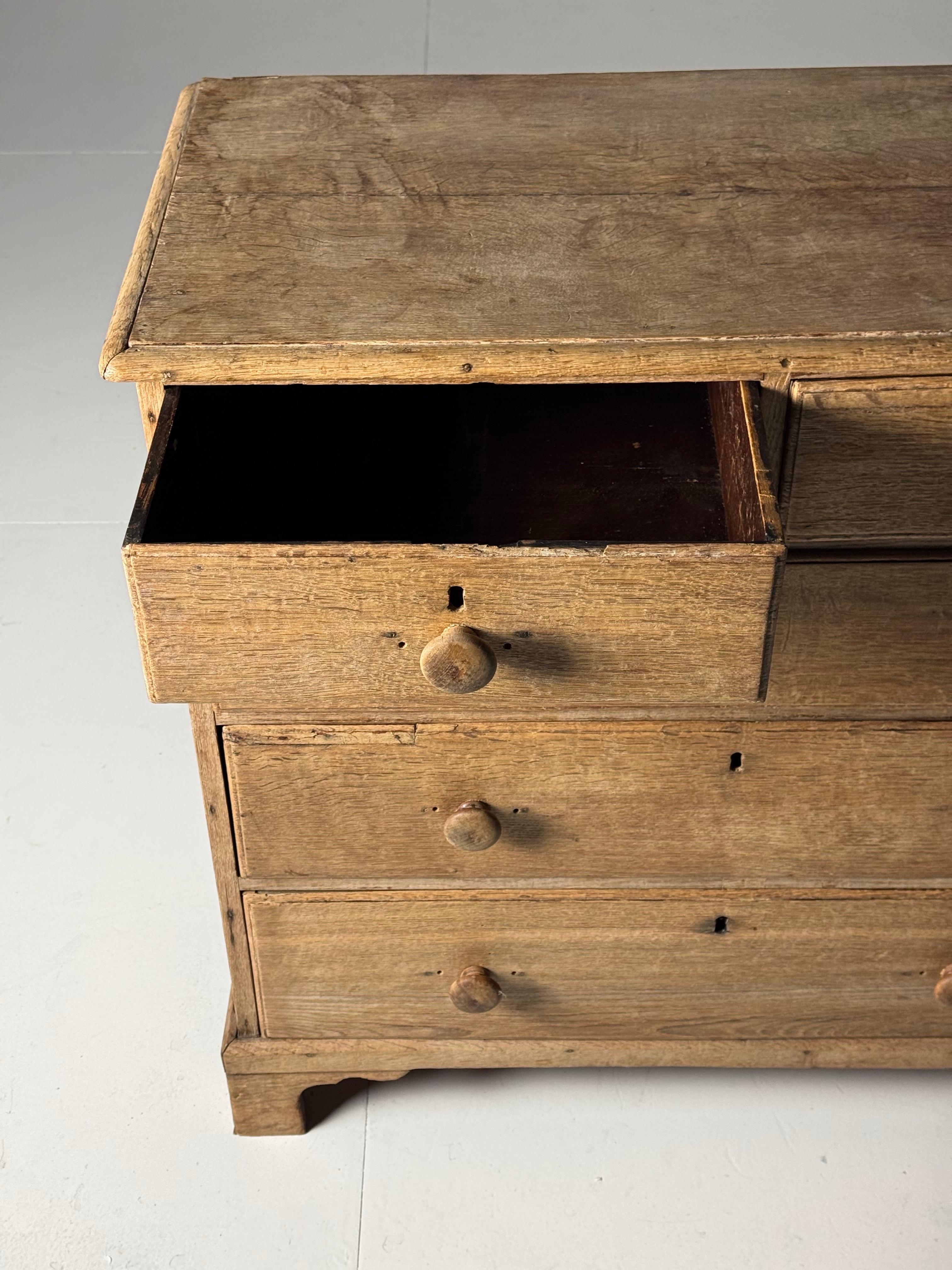 Cassettiera lavata in Oak XIX secolo in vendita 3