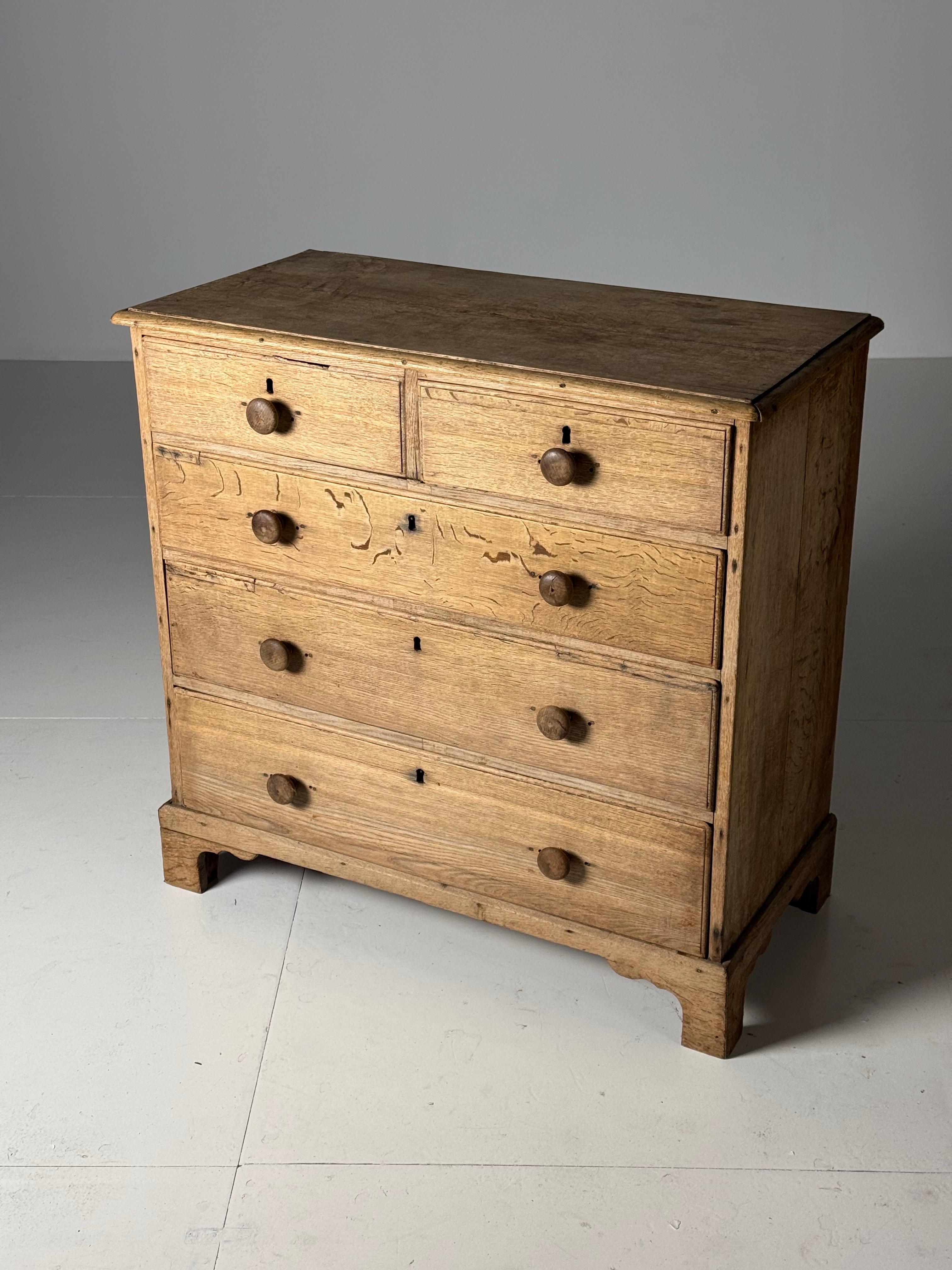 Cassettiera lavata in Oak XIX secolo in vendita 5
