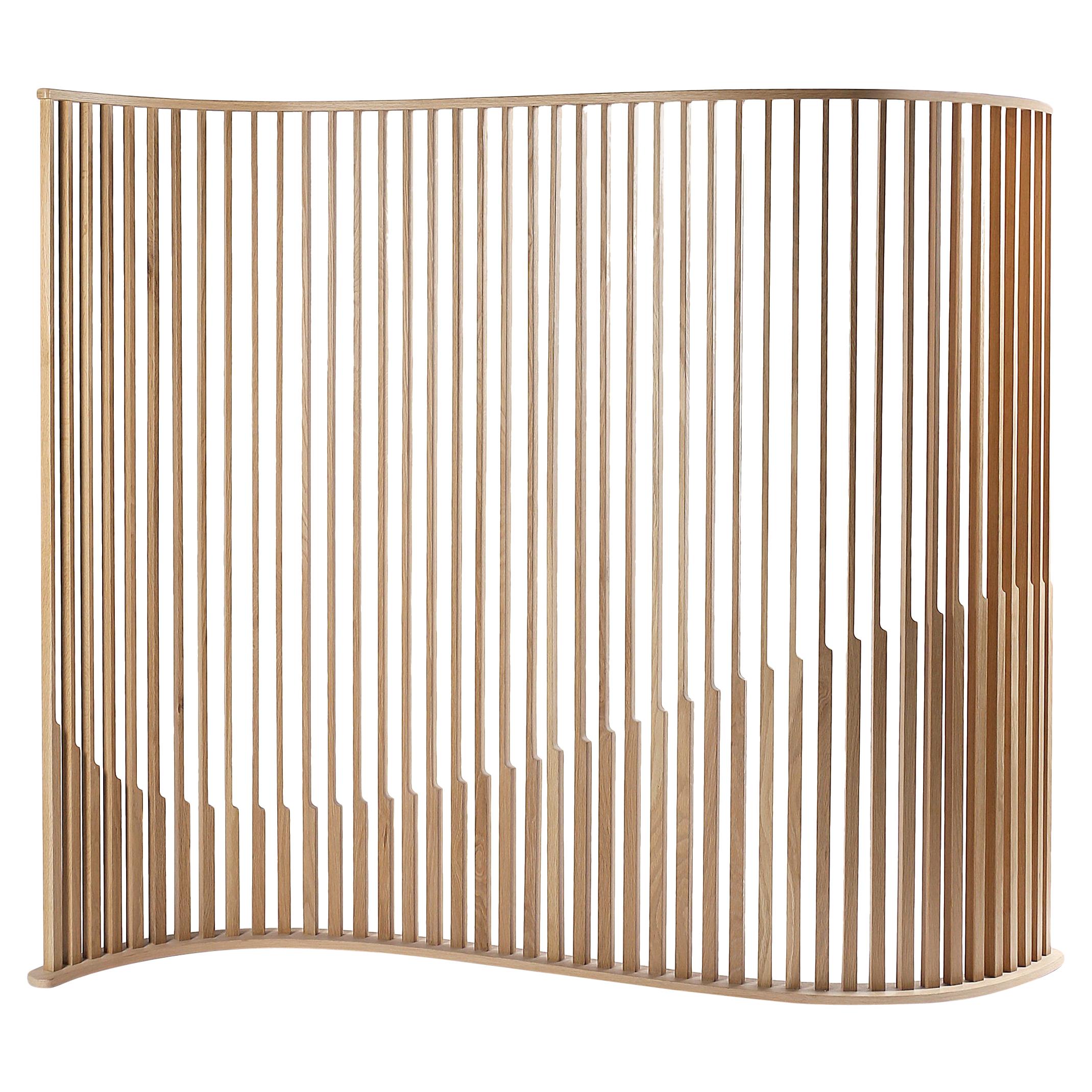 Laws of Motion Room Divider in Oak Wood, Space Divider Screen by Joel Escalona