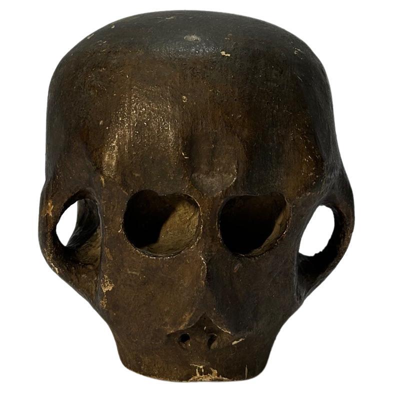Oak Wood Skull Polychromed 18th Century For Sale