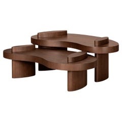 Oak Wood Veneer Coffee Table Set