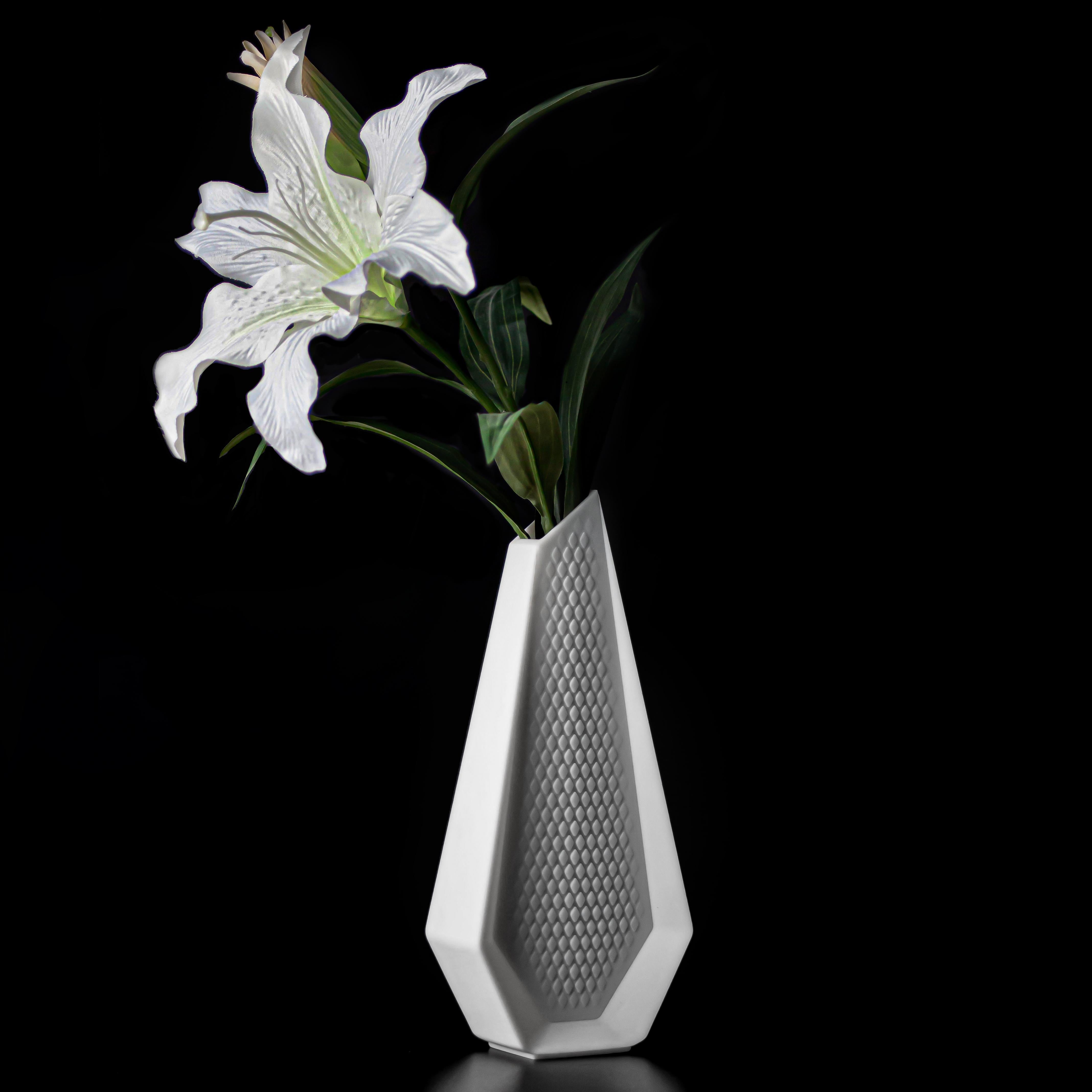 Organic Modern Modern Vase 