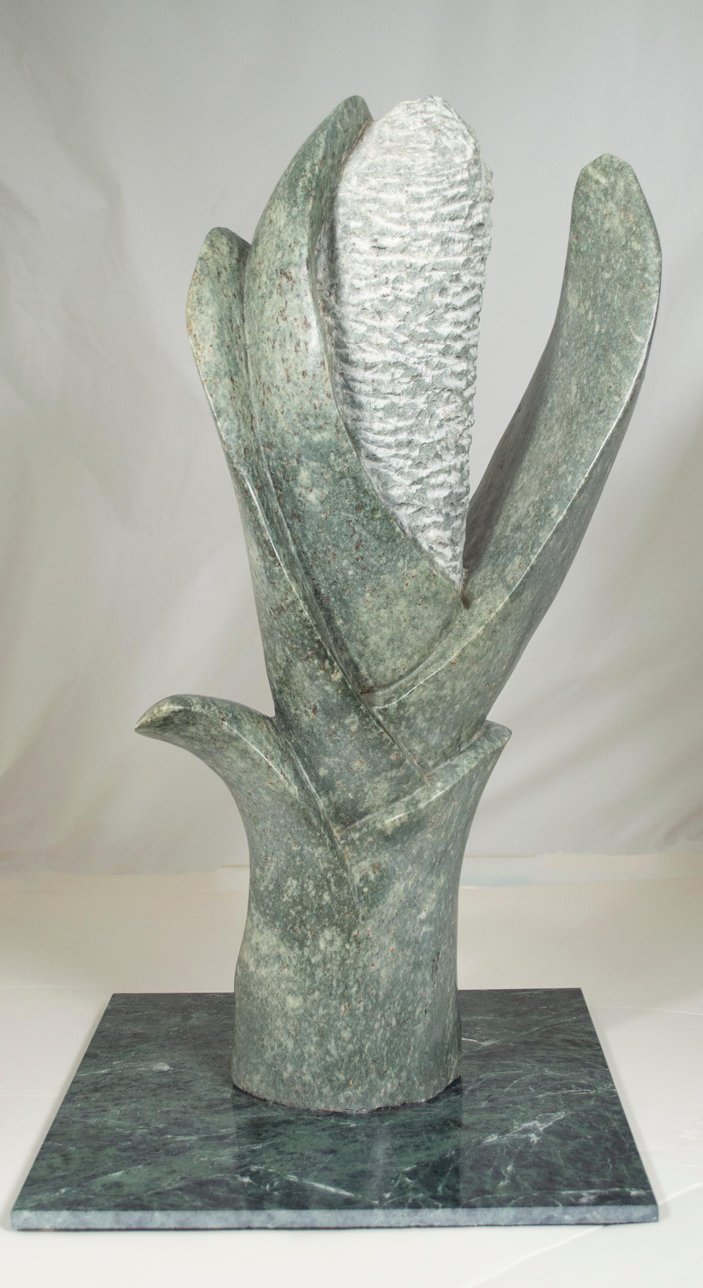 Flor" es una escultura original de serpentina de ópalo del artista zimbabuense Obert Mukumbi. En la escultura, Obert subraya las cualidades abstractas de las formas naturales de la cala: En el centro, un estambre alto y ancho se extiende hacia