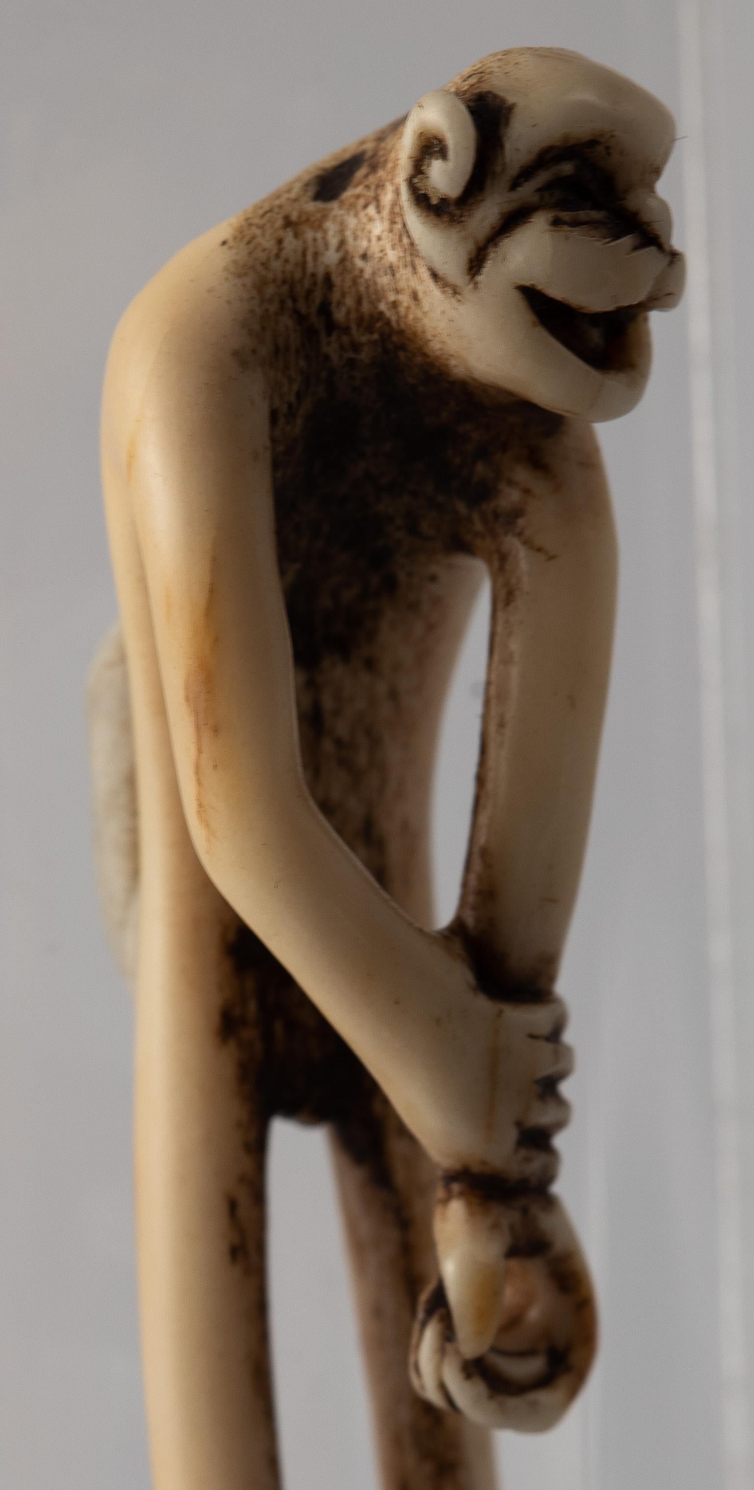 Stag antler

Sealed Koku in a sunken square reserve

Attributed to Kokusai, circa 1860

Measures: Height 11 cm

 

The monkey with a large smiling open mouth, the right hand placed over the left one, which can be used as a cord hole.