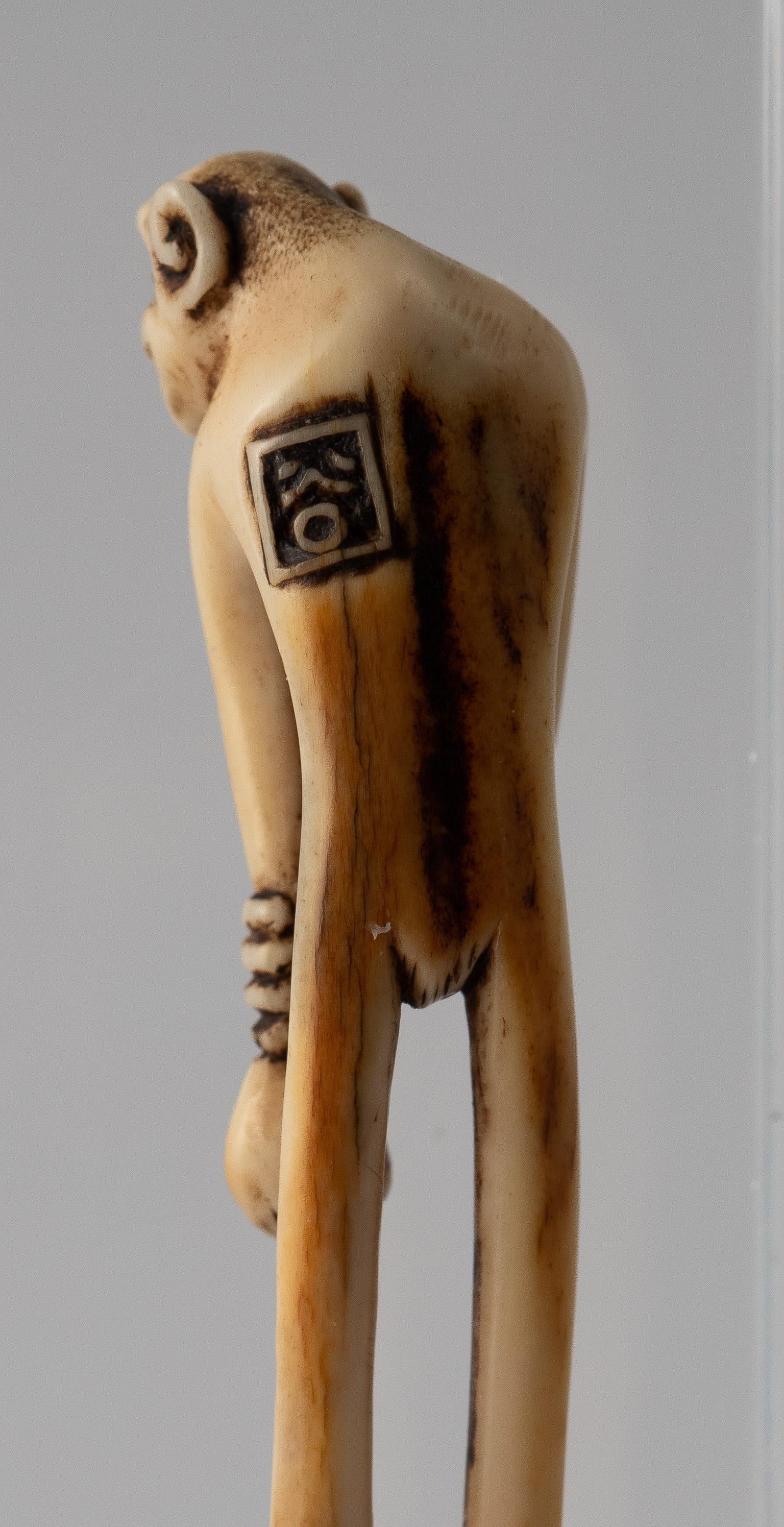 long legged monkey