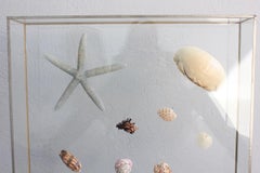 Object of Curiosity in a Plexiglass Frame