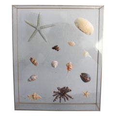 Object of Curiosity in a Plexiglass Frame