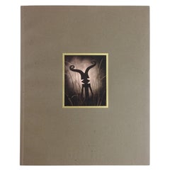 Objekte der Mythos und Mysterie von Corson Hirschfeld, Buch