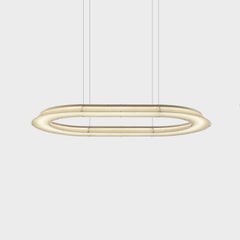 Oblong Cast Pendant Lamp by Resident