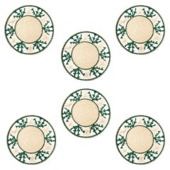 Ocean Elegance: Forest Green Coral Placemats, 15.5