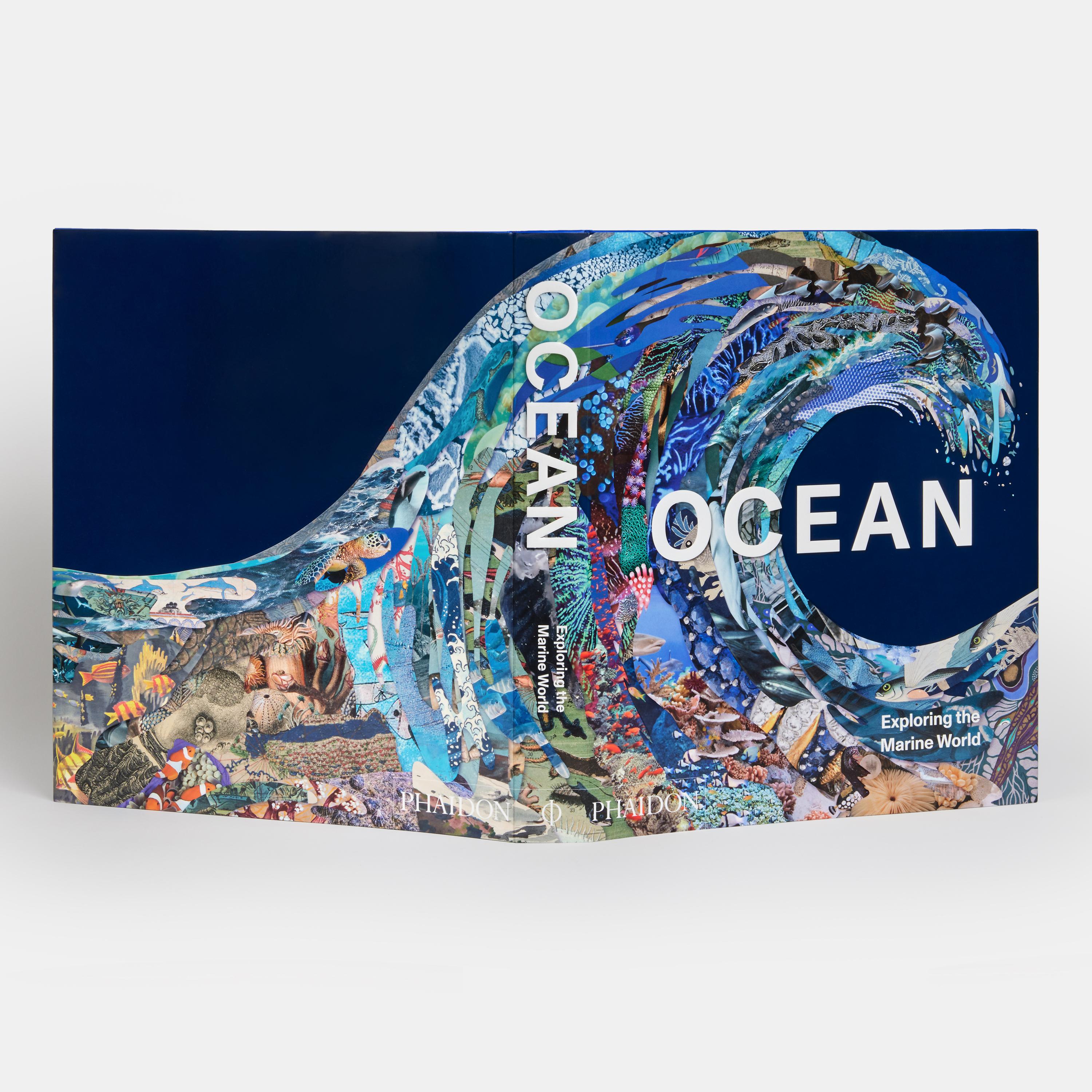 Ocean, Exploring the Marine World For Sale 5