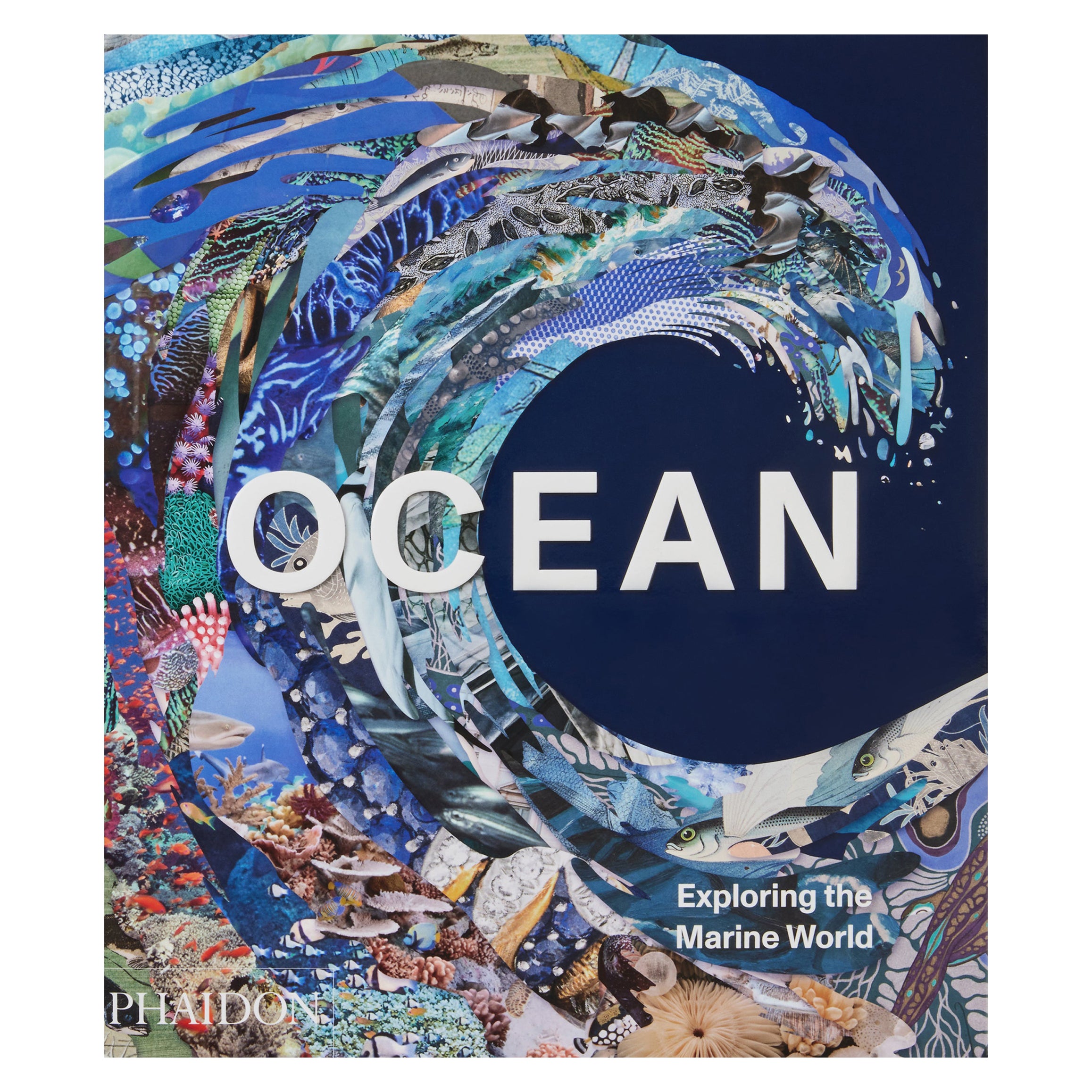 Oceano, Esplorare il mondo marino