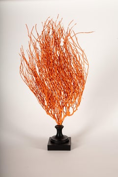 Ocean Flame: Striking 24-Inch Sea Whip Sculpture