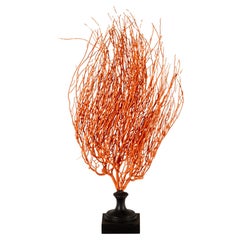 Ocean Flame: Striking 24-Inch Sea Whip Sculpture