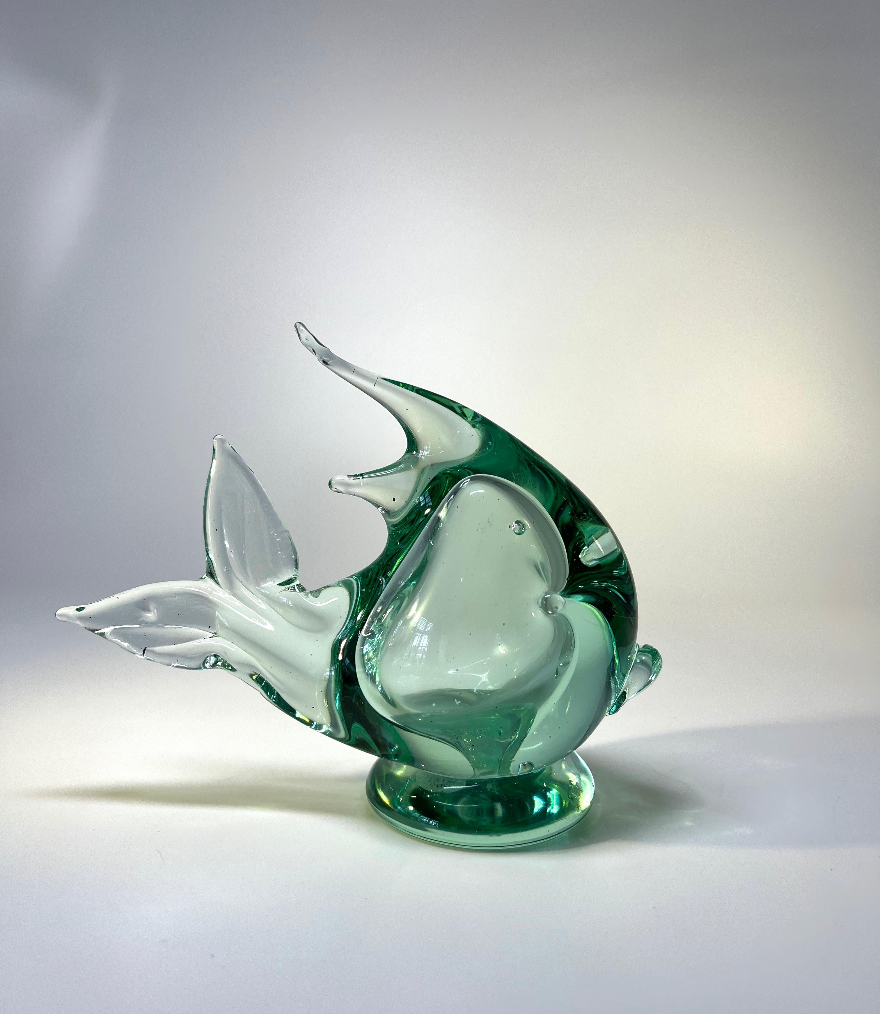 Mid-Century Modern Ocean Green Murano Glass Angel Fish By Archimede Seguso, Italy 1970's For Sale