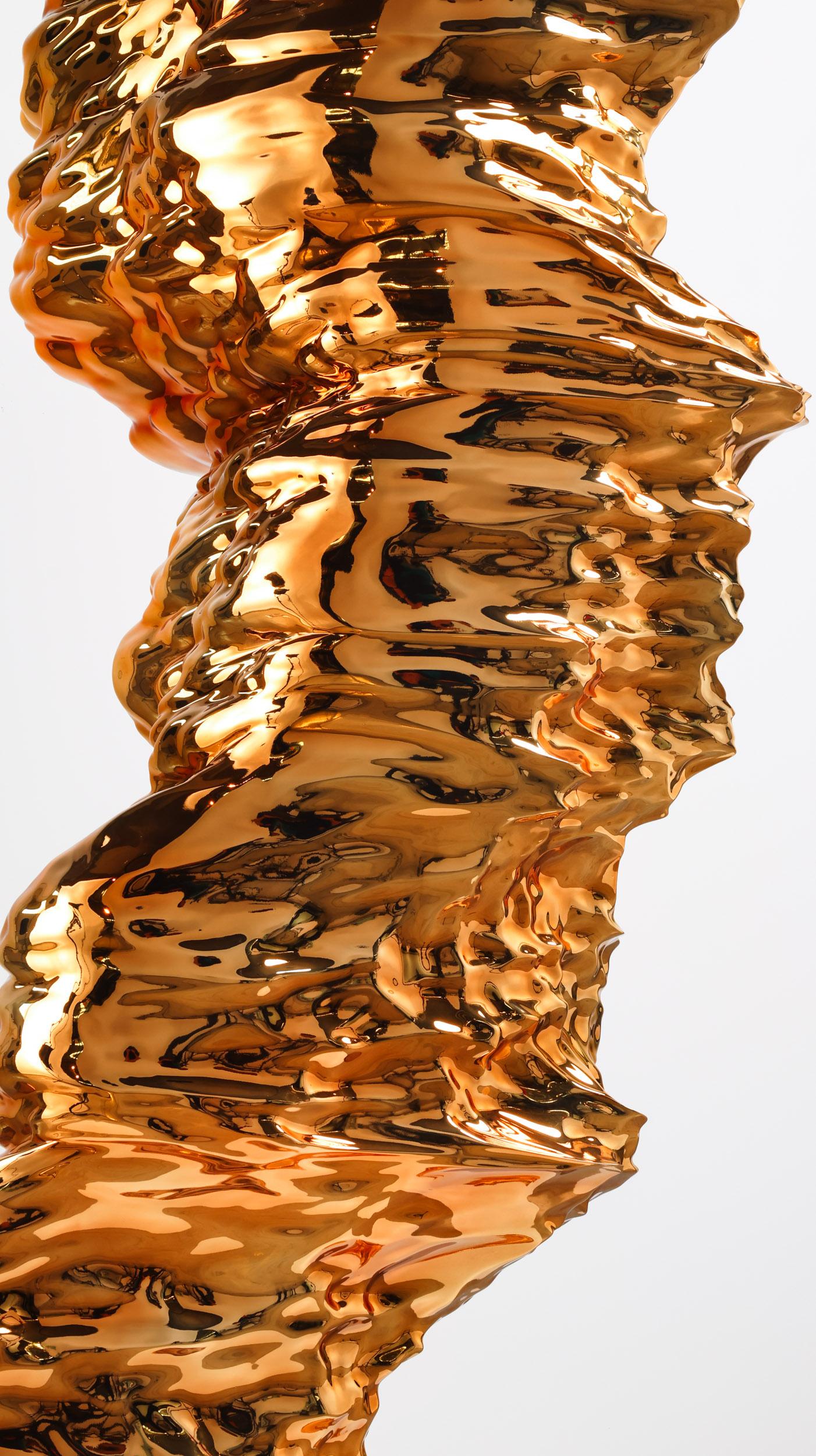Oceana Eversus Sculpture Chrome Gold For Sale 3