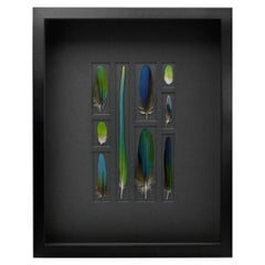 Oceanic Feathers on Graphite by Christopher Marley