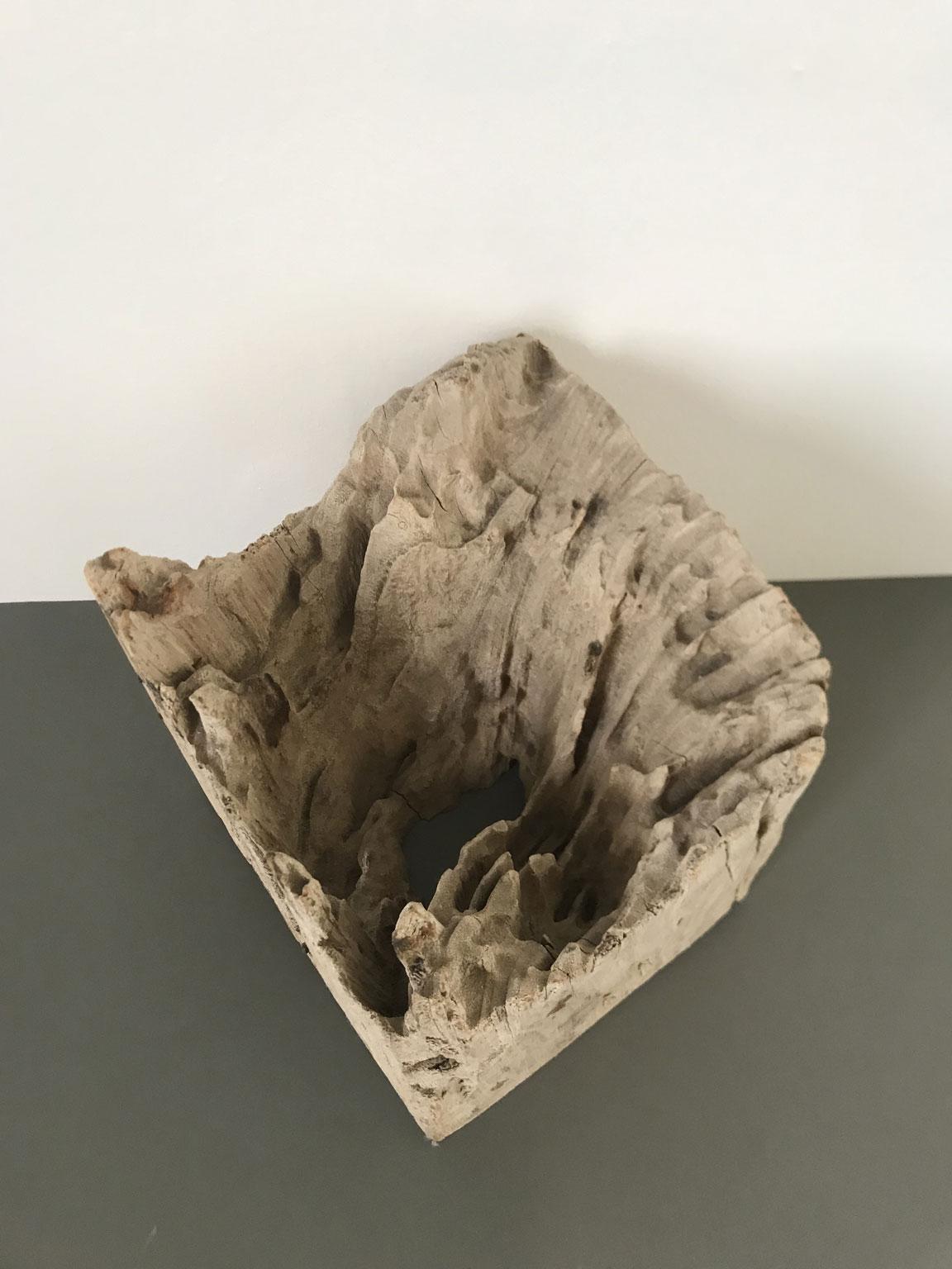Handgeschnitzte abstrakte Skulptur oder Briefbeschwerer aus Naturholz, Organische Moderne im Angebot 6