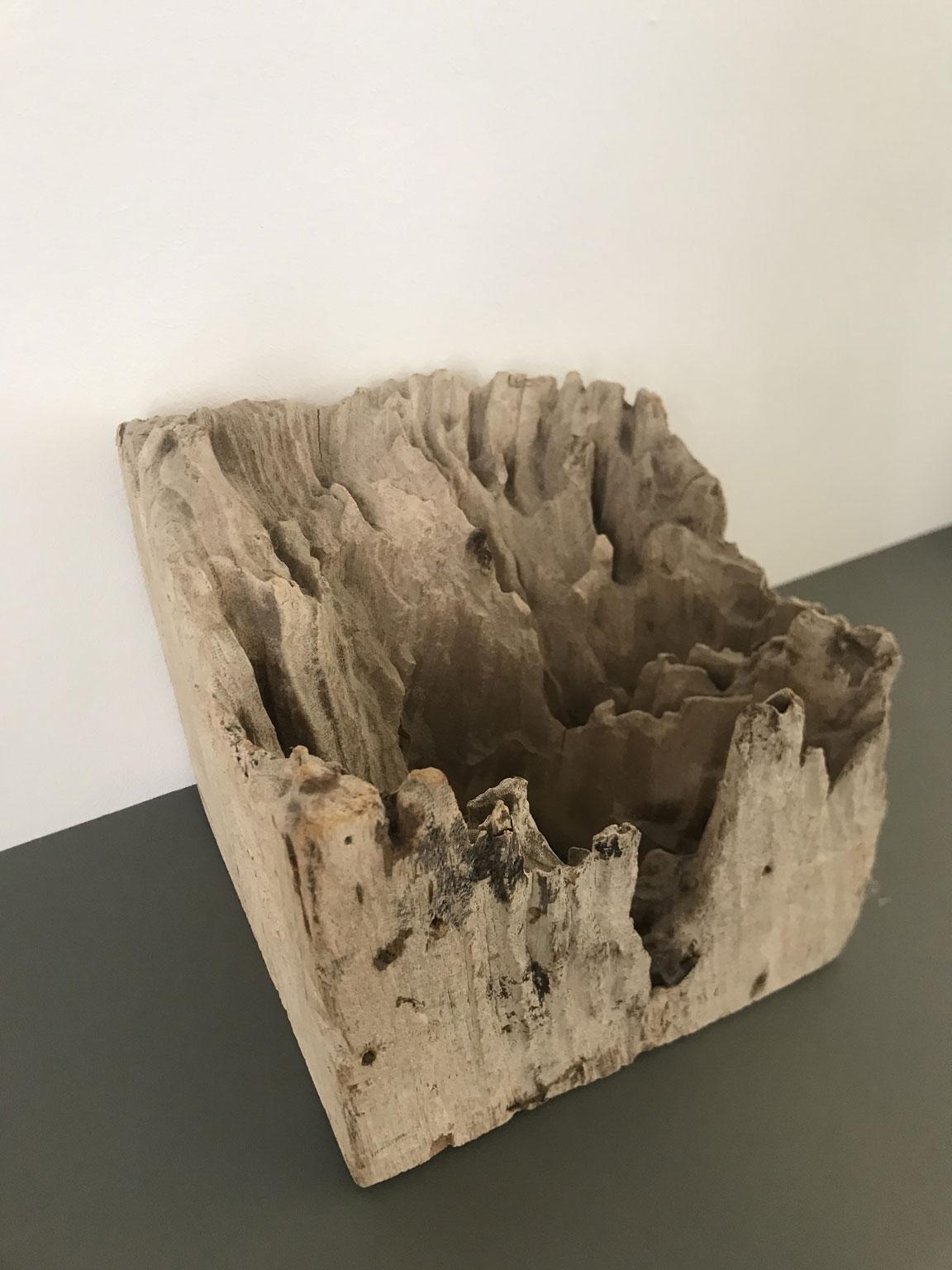Handgeschnitzte abstrakte Skulptur oder Briefbeschwerer aus Naturholz, Organische Moderne im Angebot 13