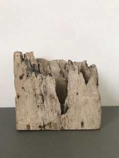 Organic Modern Natural Wooden Hand Carved Abstract Sculpture or Paperweights