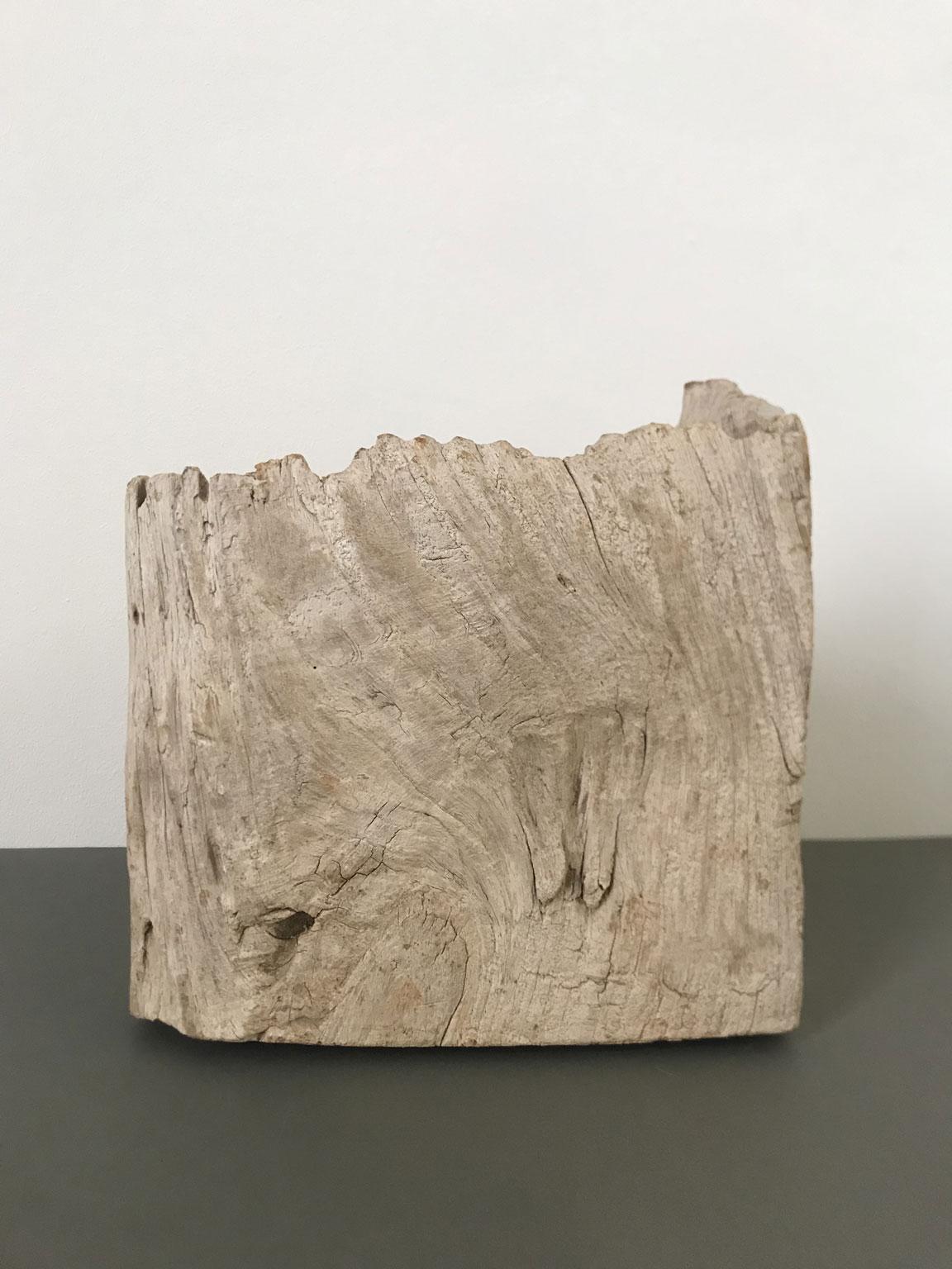 Handgeschnitzte abstrakte Skulptur oder Briefbeschwerer aus Naturholz, Organische Moderne im Zustand „Gut“ im Angebot in Brescia, IT