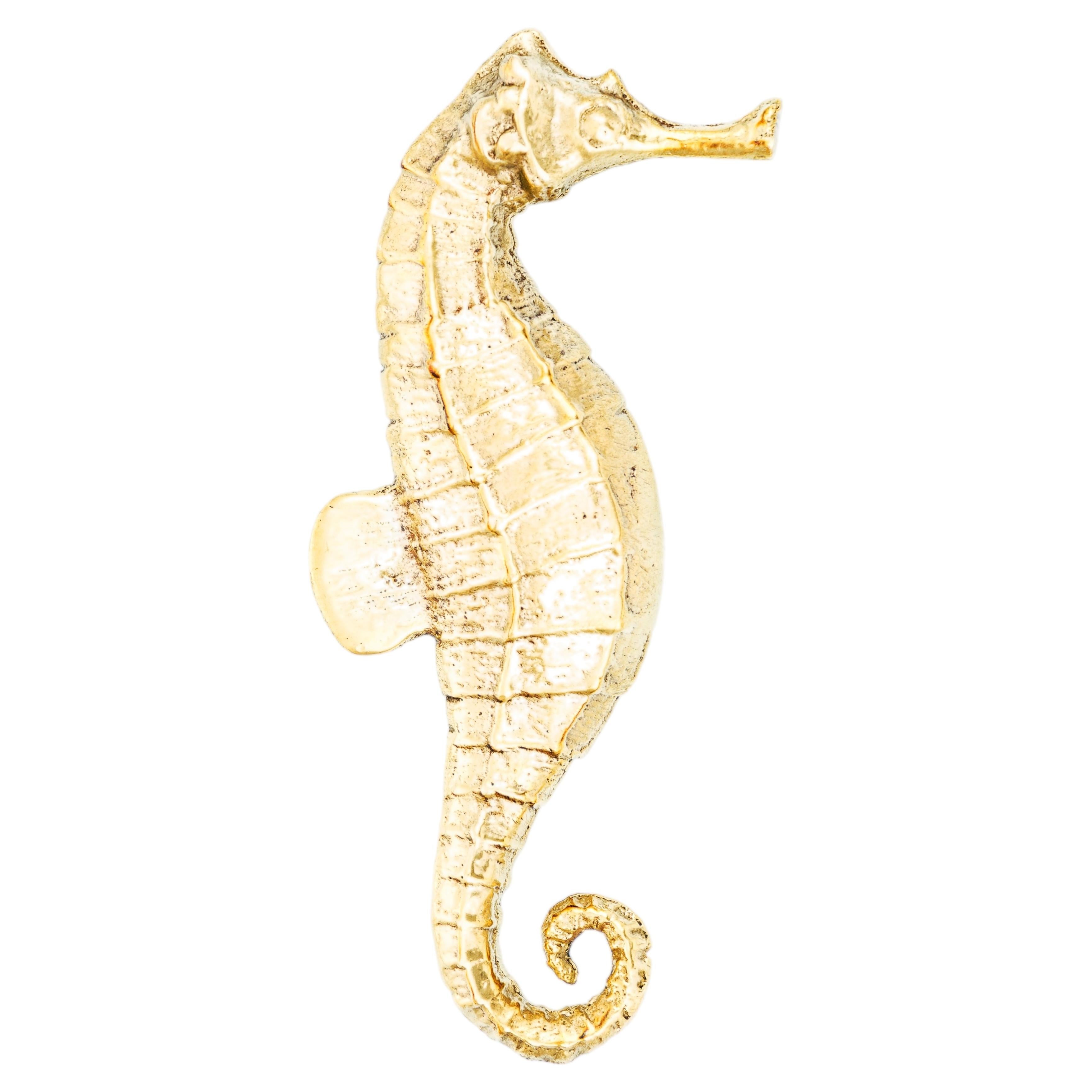 Oceano Manarola - seahorse brass knob