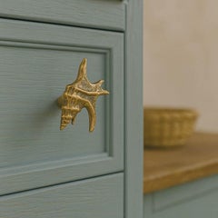Oceano Palm Murex - seashell brass knob