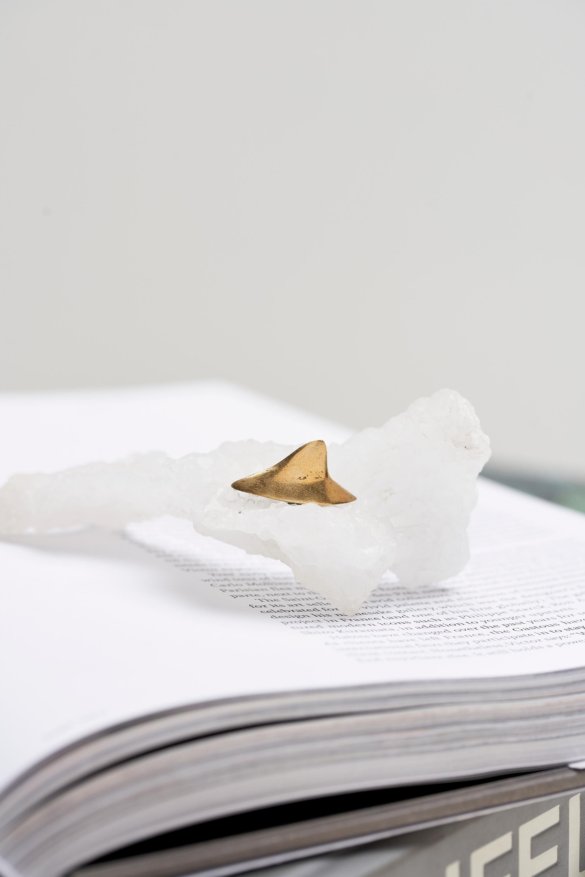 XXI secolo e contemporaneo Serie Oceano, Scultura di pietra a pinna di squalo in scatola acrilica in vendita