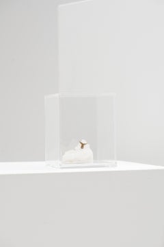 Oceano Series, Whale Tail Stone Sculpture in Acrylic Box