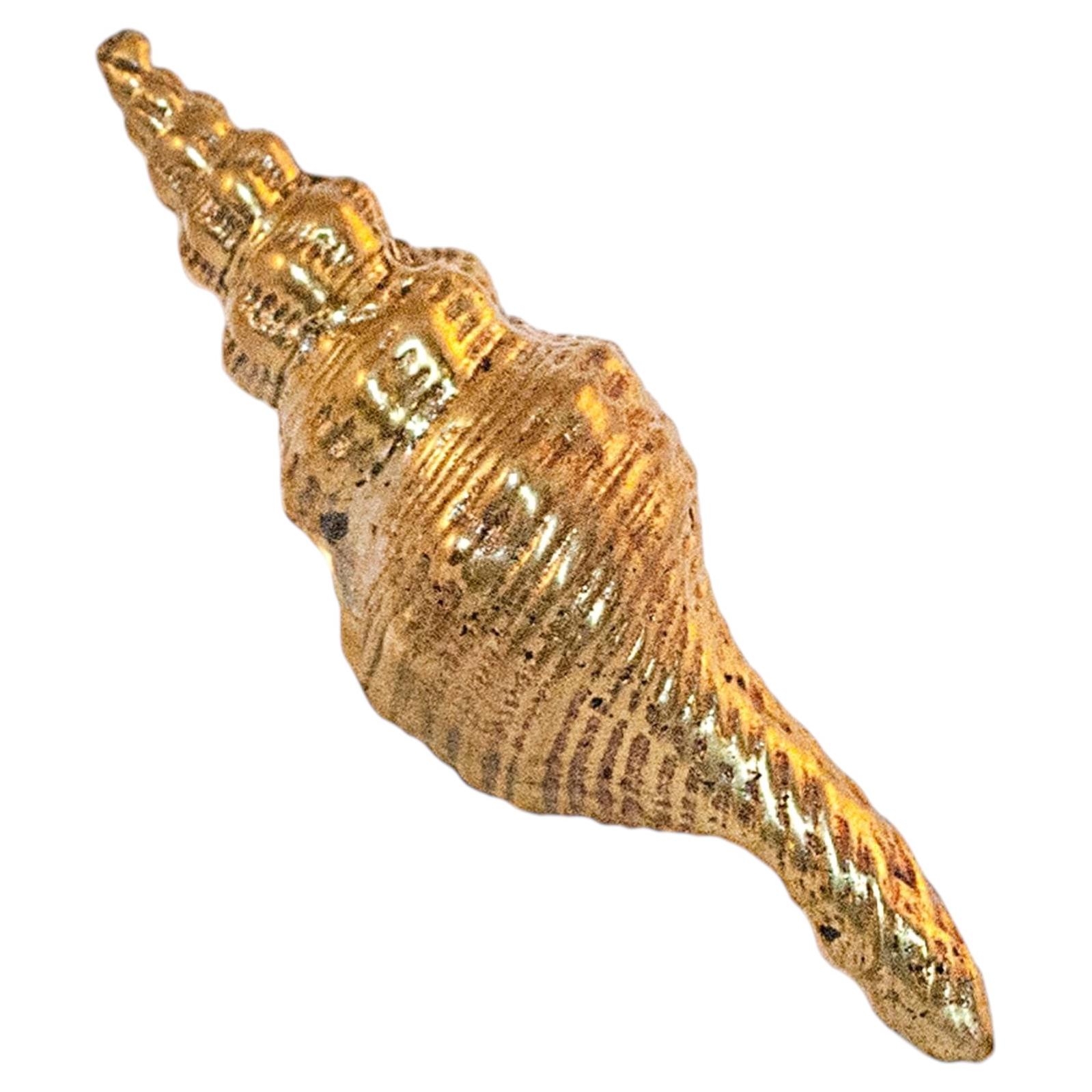 Oceano Tower - shell-shaped brass knob For Sale