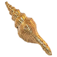Oceano Tower - shell-shaped brass knob