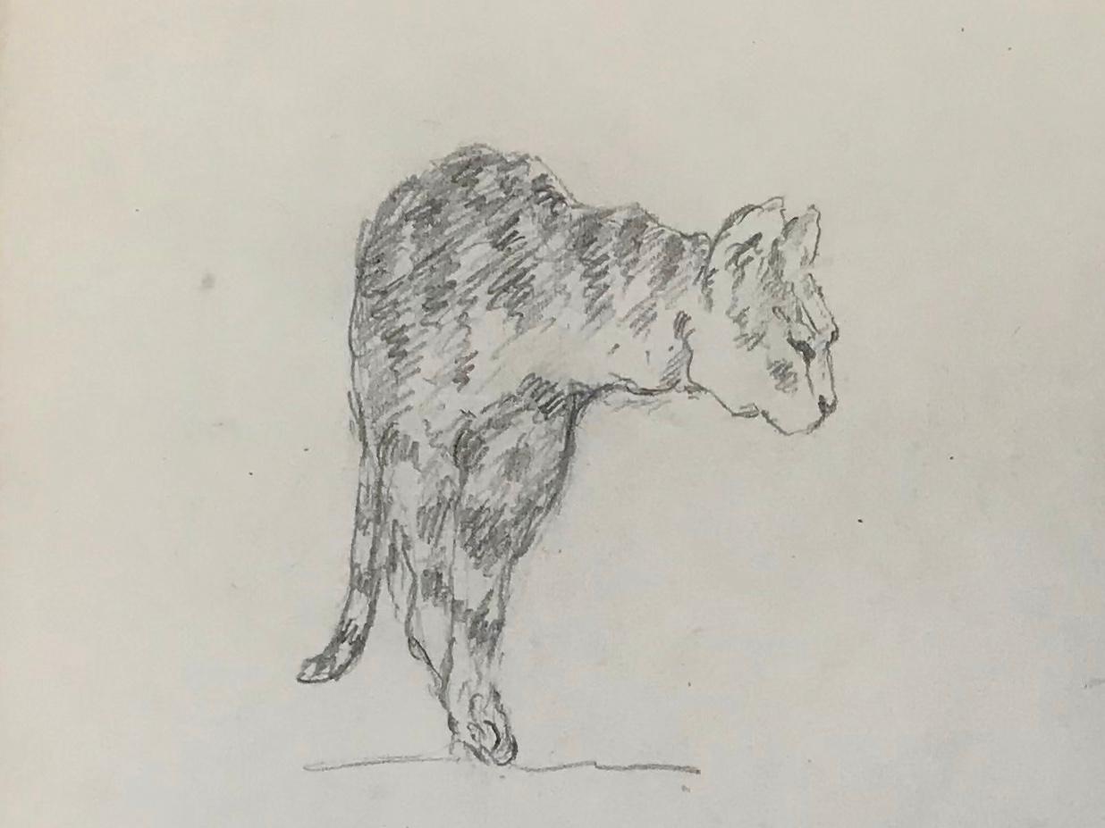 Ocelot drawing, Guido Righetti, 1919. Vintage Italian pencil drawings/sketches of an ocelot in various poses from a series undertaken by Righetti for his sculptures in bronze including a boar, an elephant, a black cassoary, a white cassoary, an